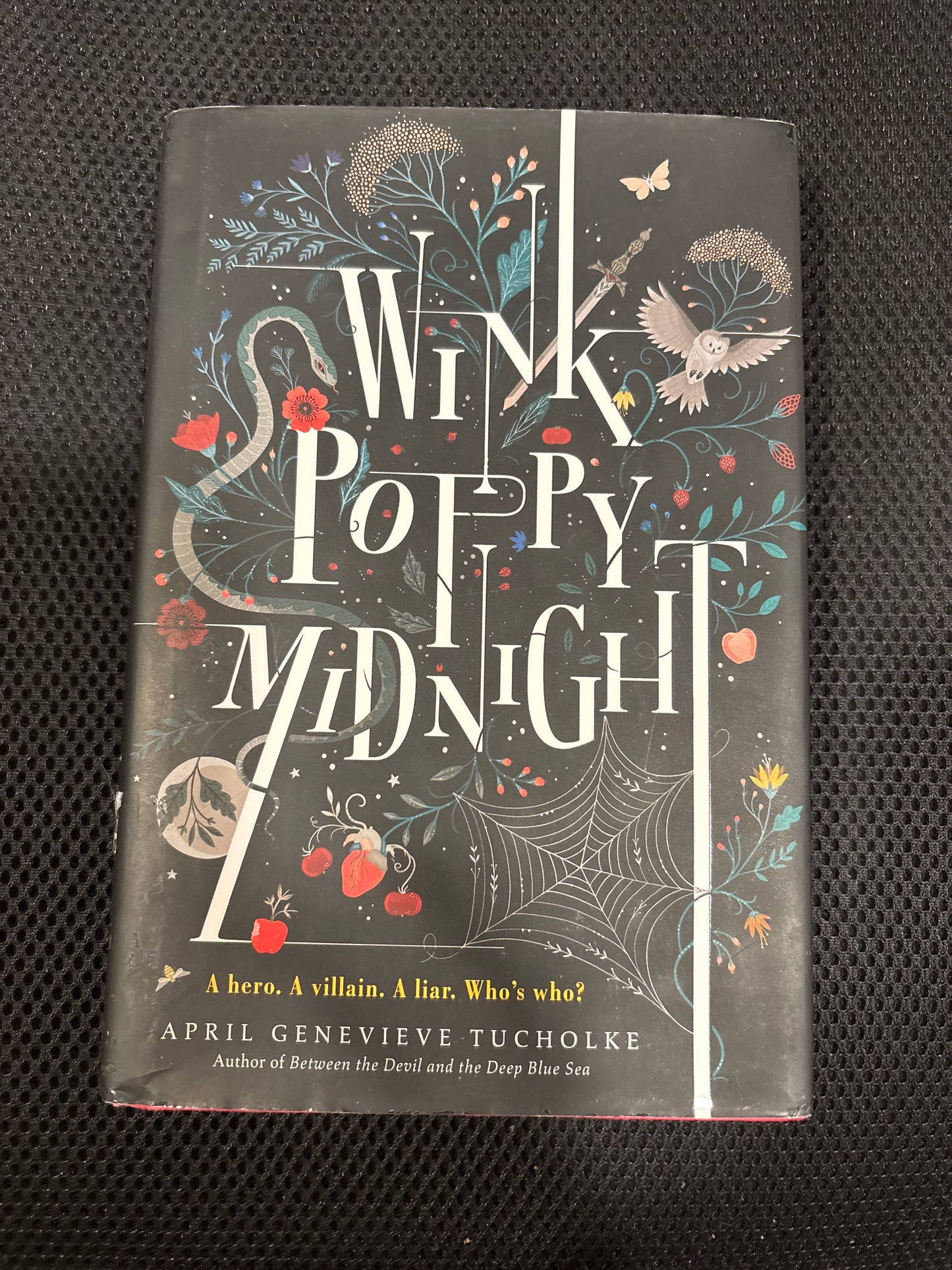 Wink Poppy Midnight by April Genevieve Tucholke YA hardcover (like new)