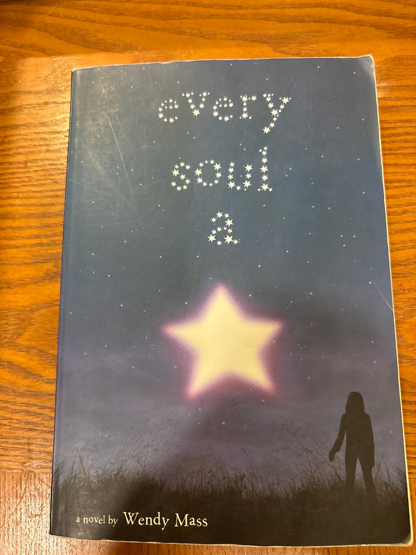 Every Soul a Star by Wendy Mass paperback (tween/middle school) (rescued)