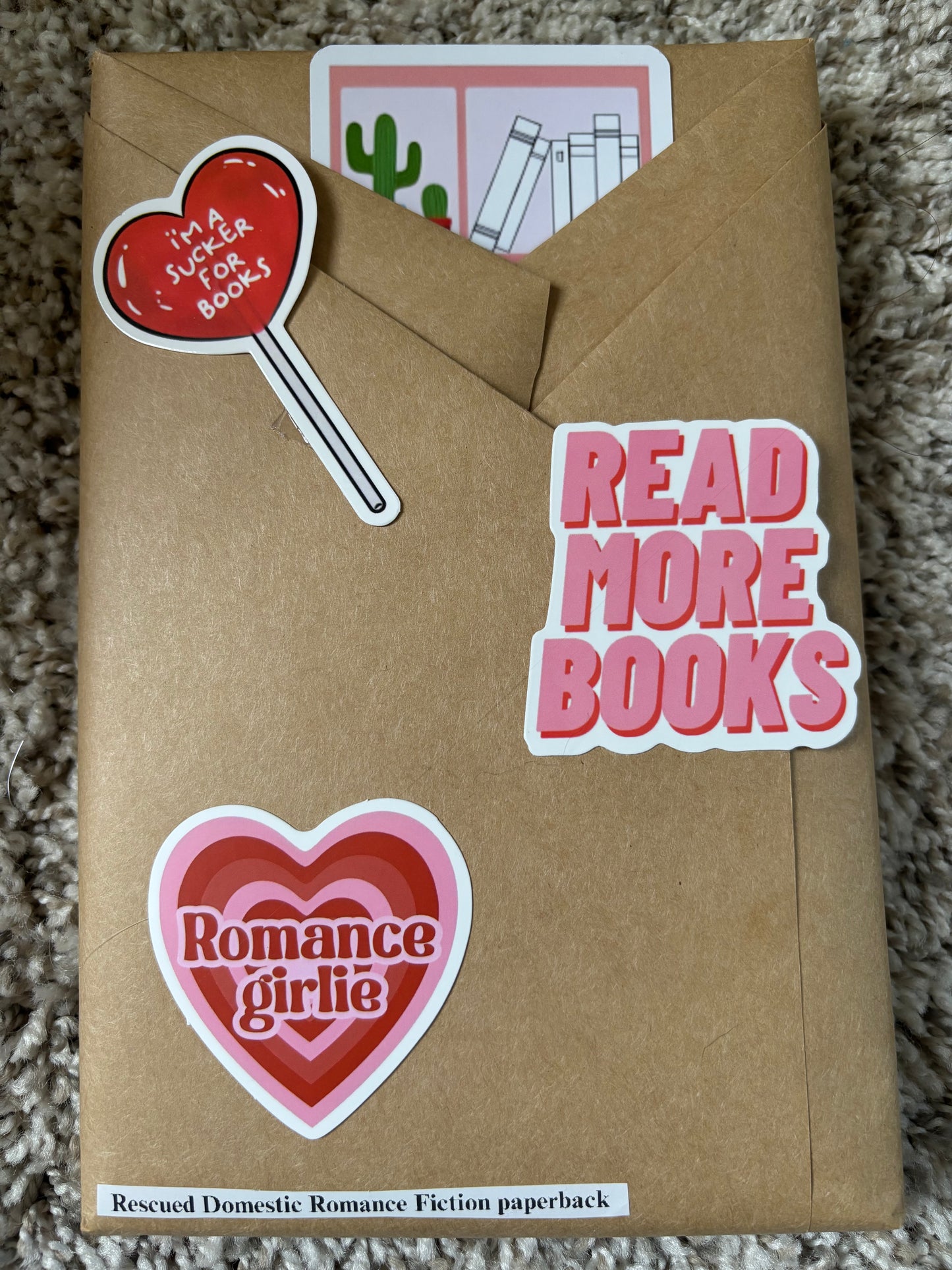Blind Date with a Book #8 Rescued Domestic Romance Fiction paperback