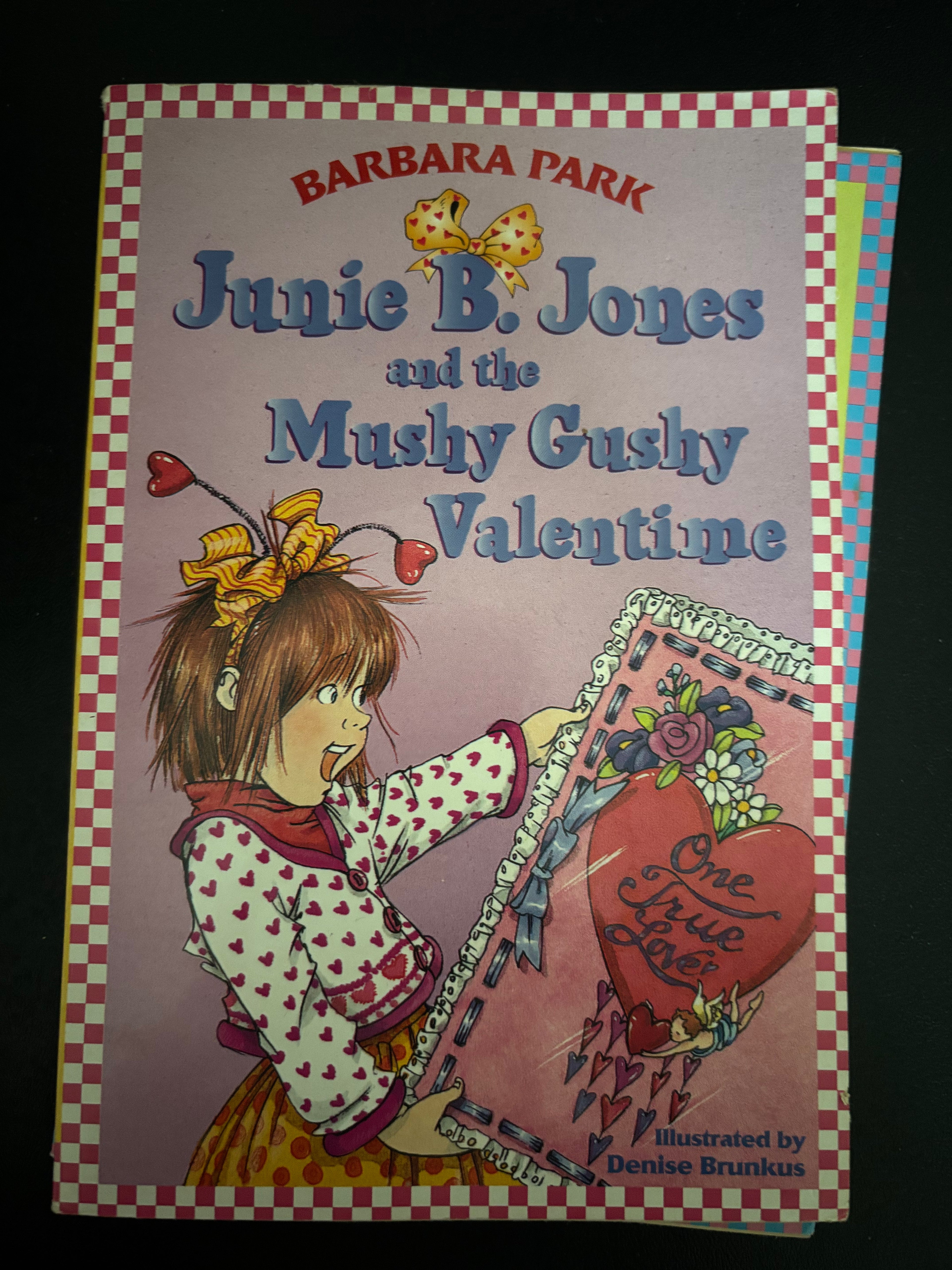 June B. Jones and the Mushy Gushy Valentine (Book 14 of the June B. Jones series) by Barbara Park TWEEN paperback (rescued)