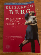 Dream When You’re Feeling Blue by Elizabeth Berg paperback (rescued)
