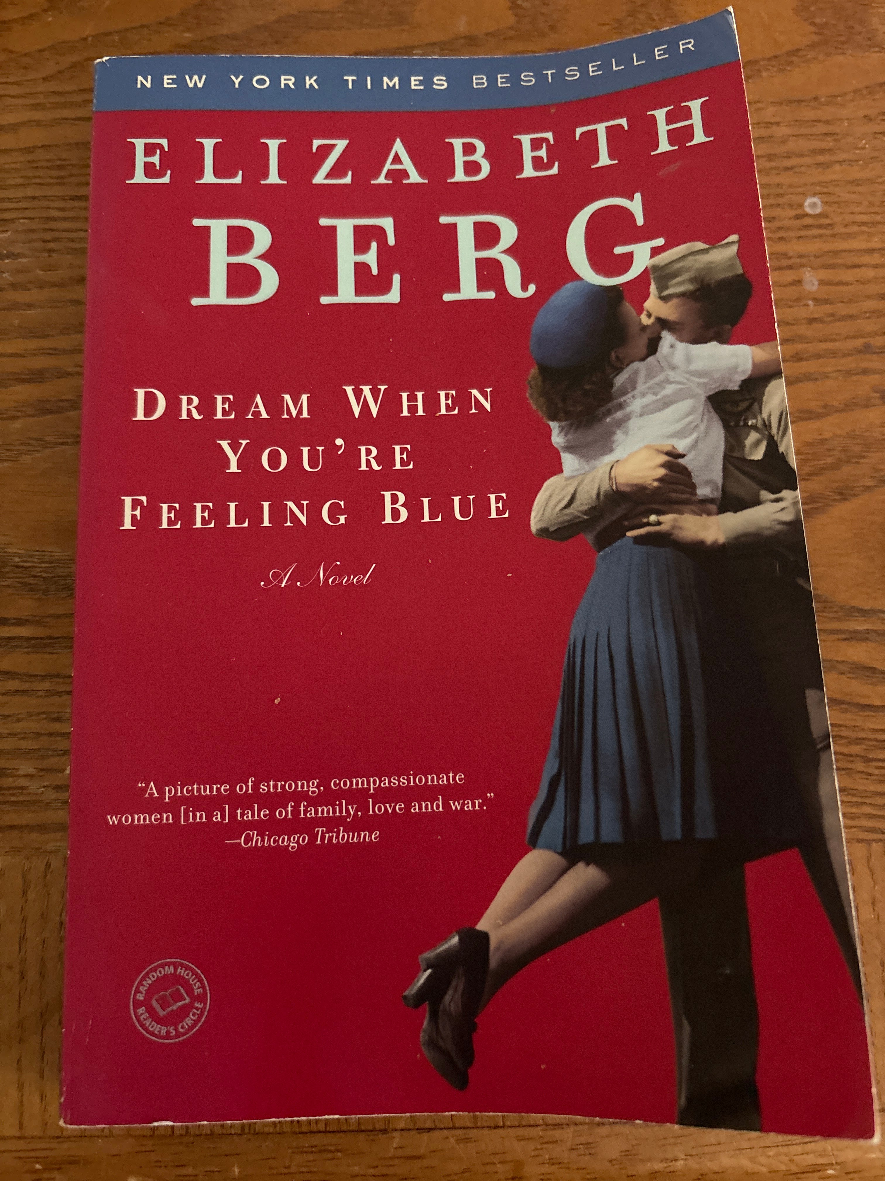 Dream When You’re Feeling Blue by Elizabeth Berg paperback (rescued)