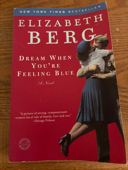 Dream When You’re Feeling Blue by Elizabeth Berg rescued/paperback