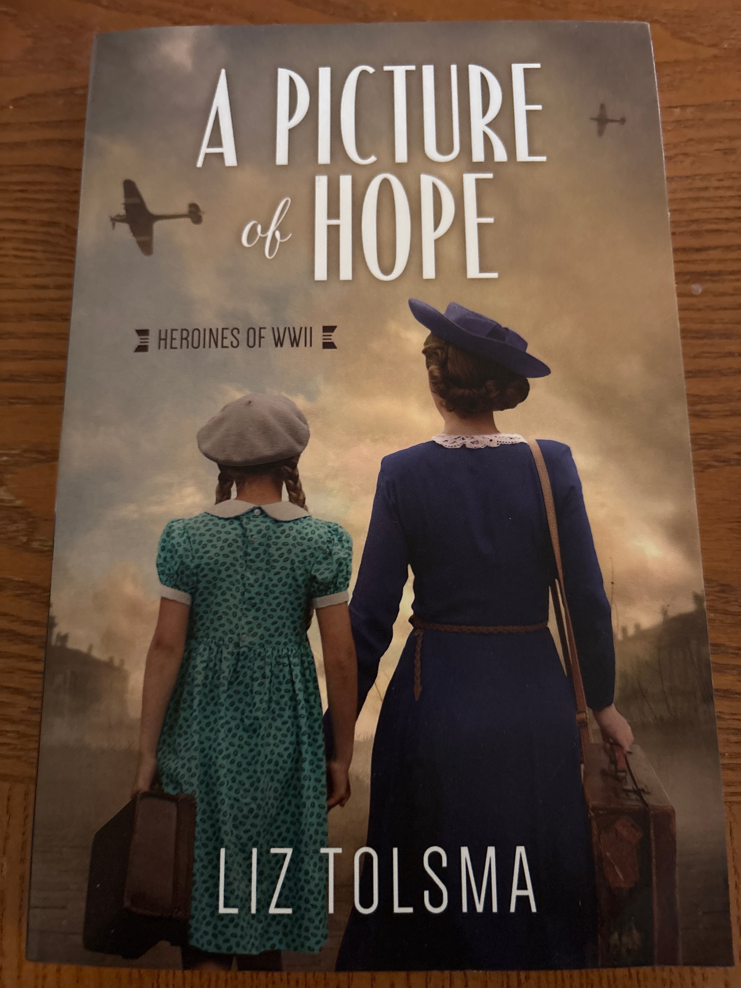 A Picture of Hope: Heroins of WWII #2 by Liz Tolsma paperback (like new)