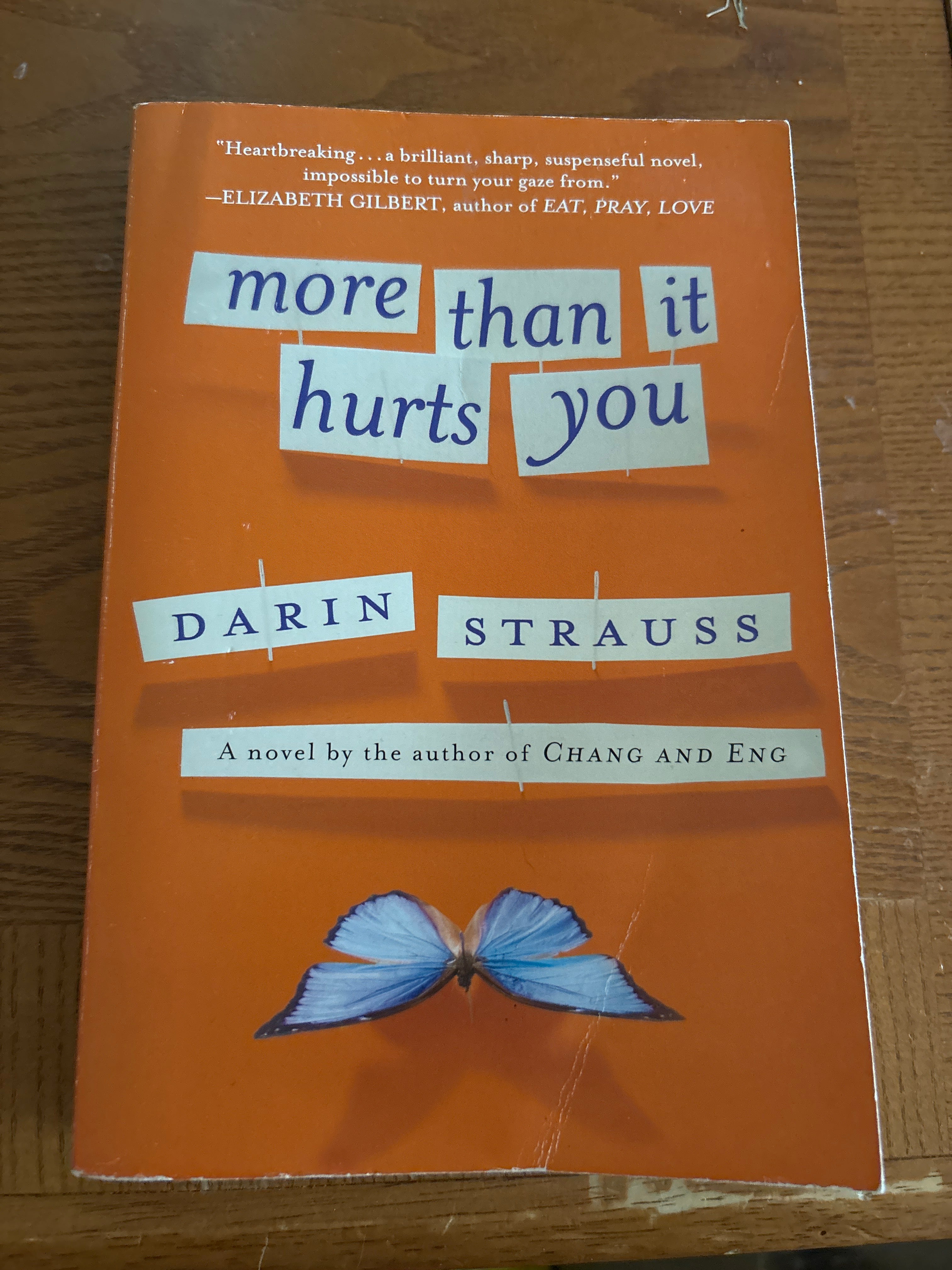 More Than It Hurts You: A Novel by Darin Strauss paperback (rescued)