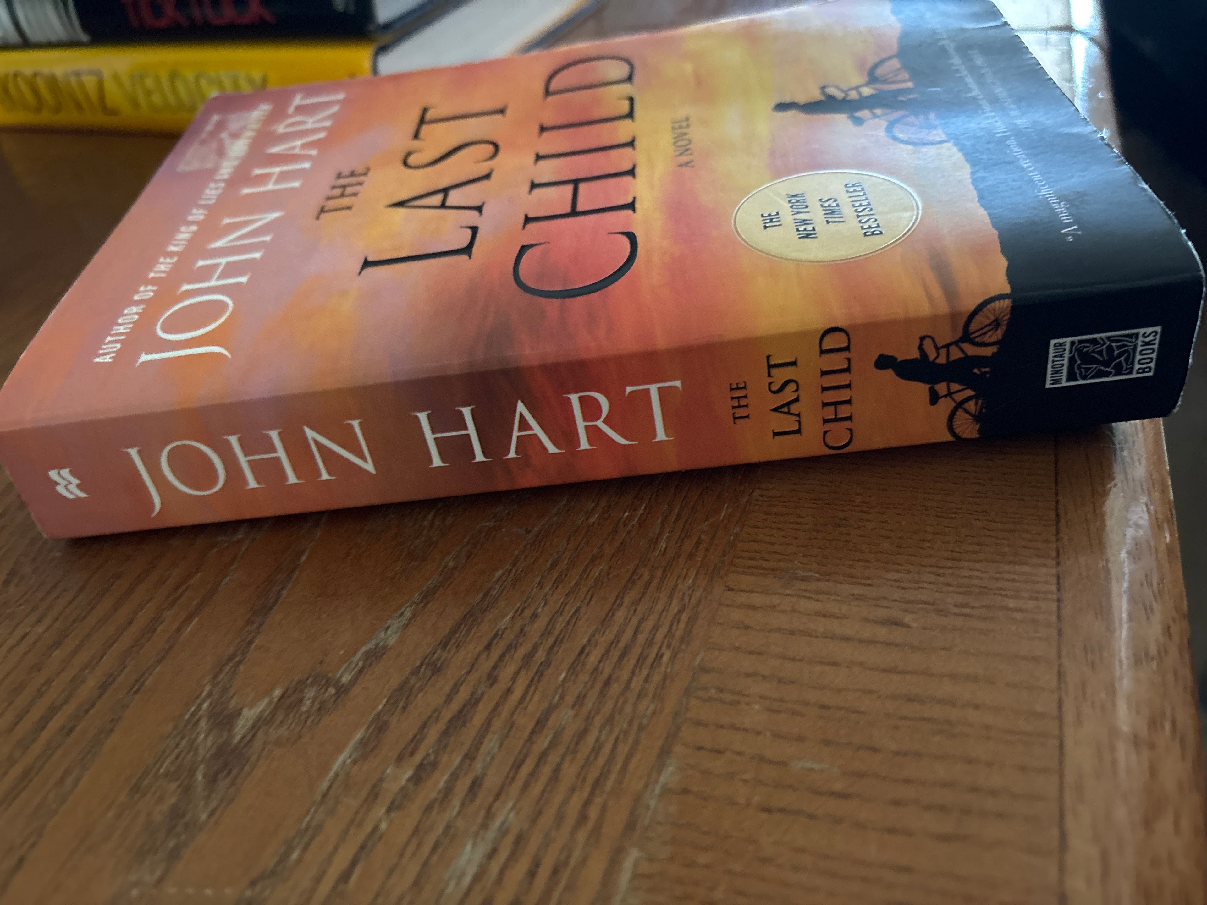 The Last Child (Book 1 of the Johnny Merrimon) by John Hart paperback (rescued)