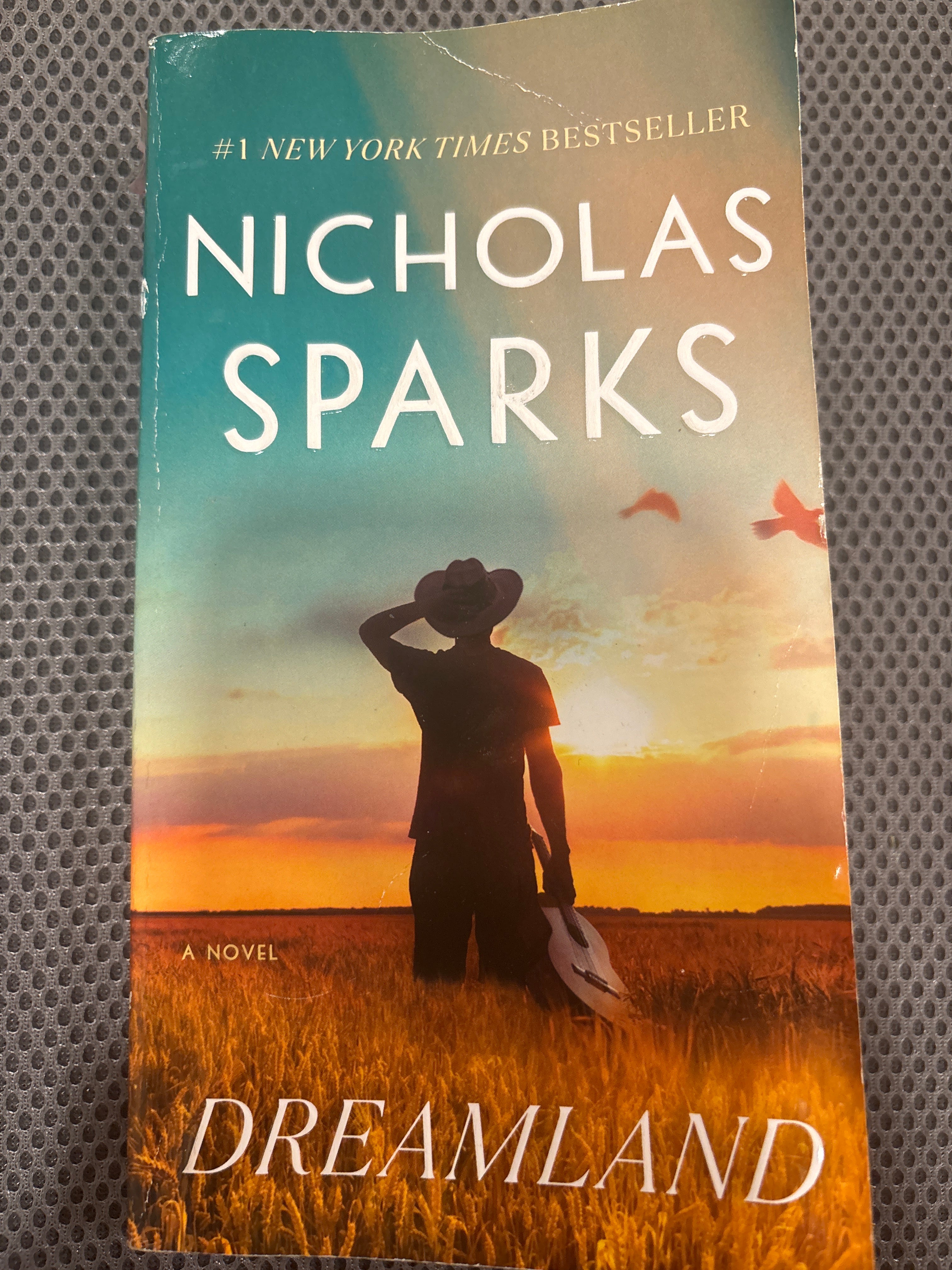 Dreamland by Nicholas Sparks paperback (mass market) (rescued)