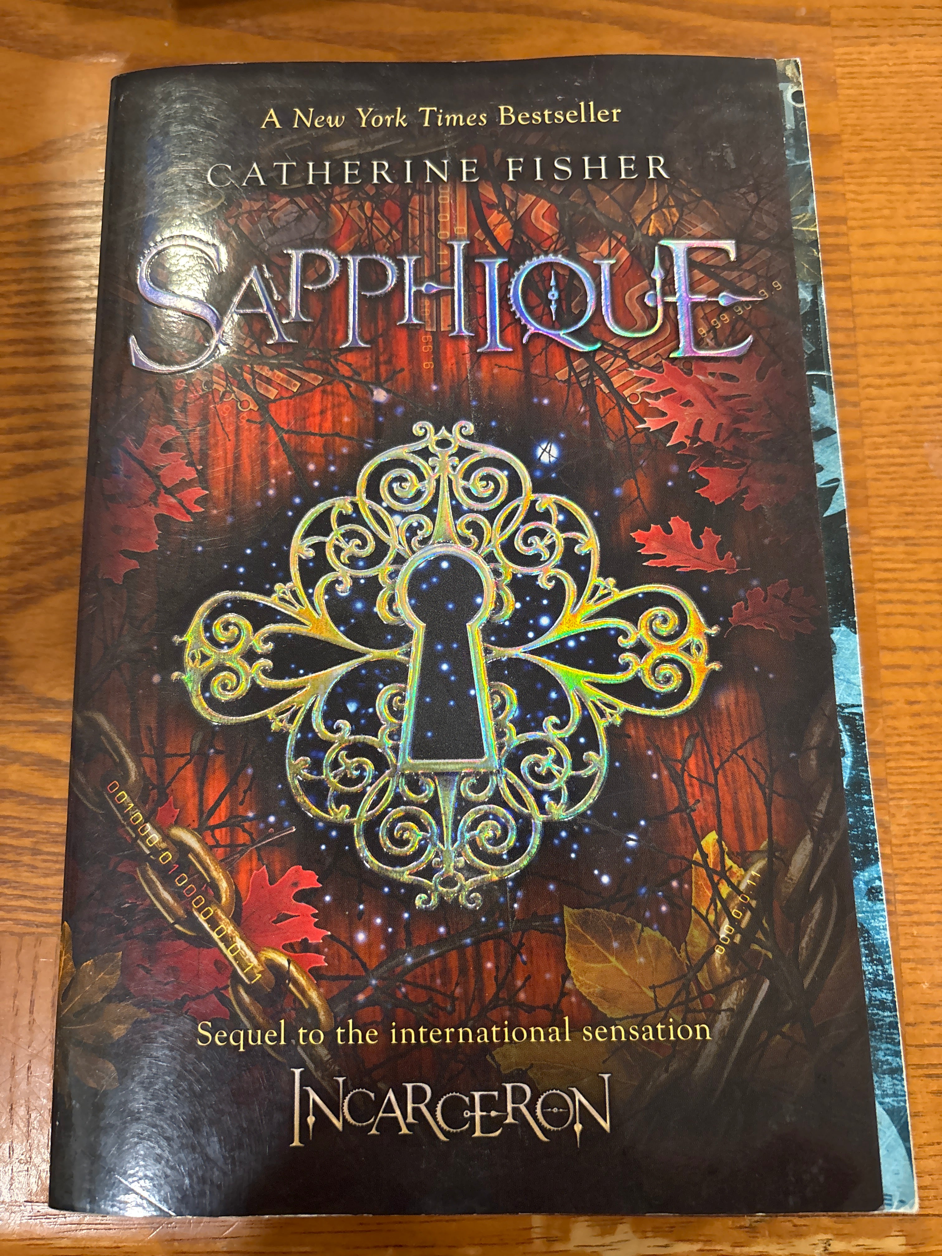 Sapphique (Book 2 of The Incarceron series) by Catherine Fisher paperback YA (rescued)