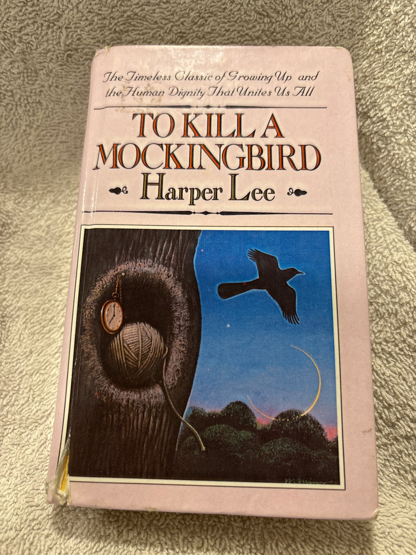 To Kill a Mockingbird by Harper Lee rescued/hardcover (small) BANNED BOOKS