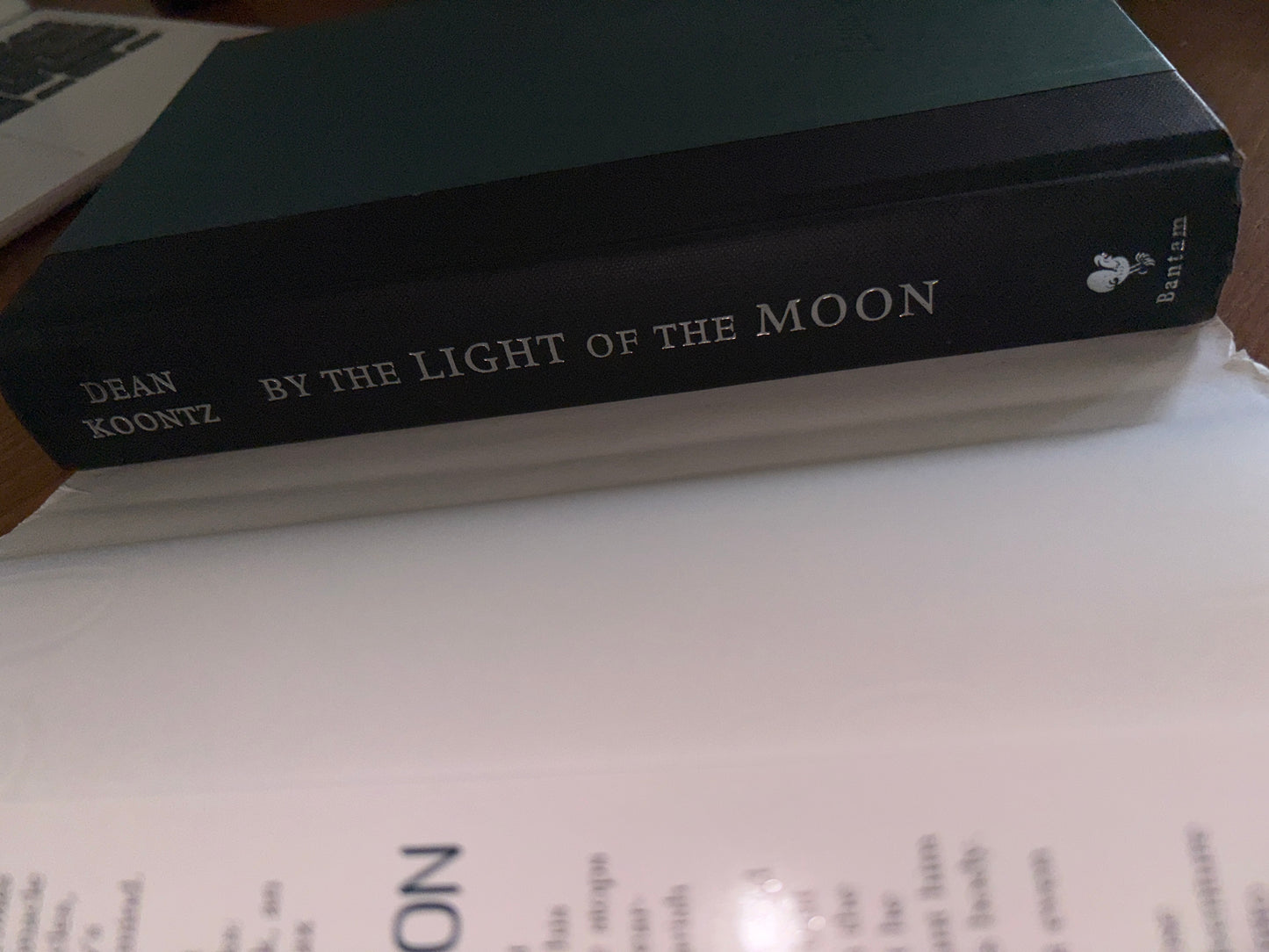 By the Light of the Moon by Dean Koontz rescued/hardcover