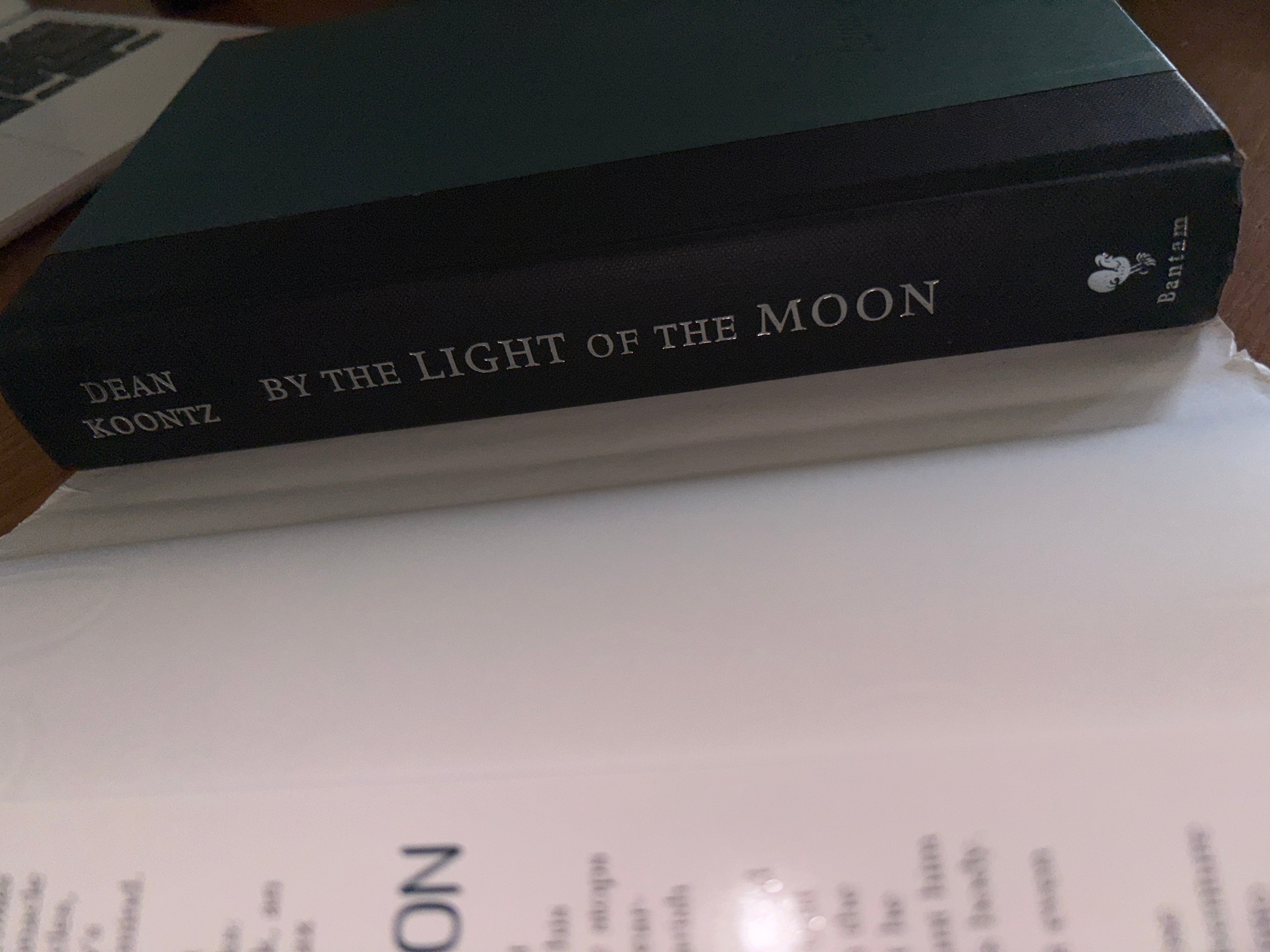 By the Light of the Moon by Dean Koontz hardcover (like new)