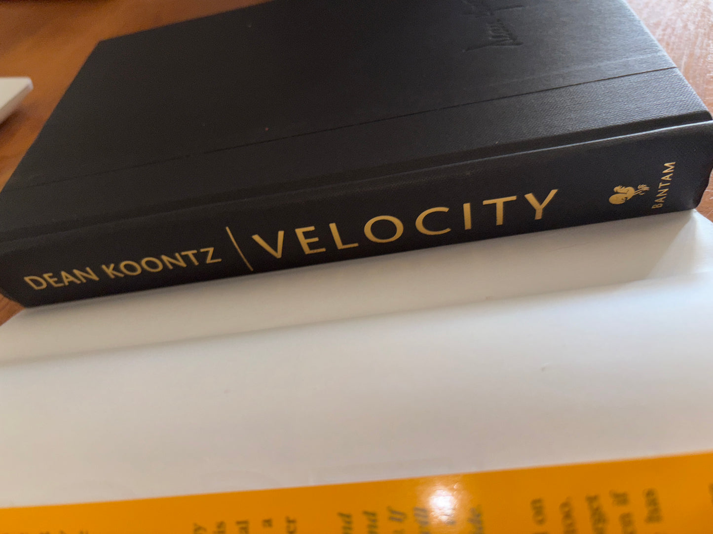 Velocity by Dean Koontz rescued/hardcover