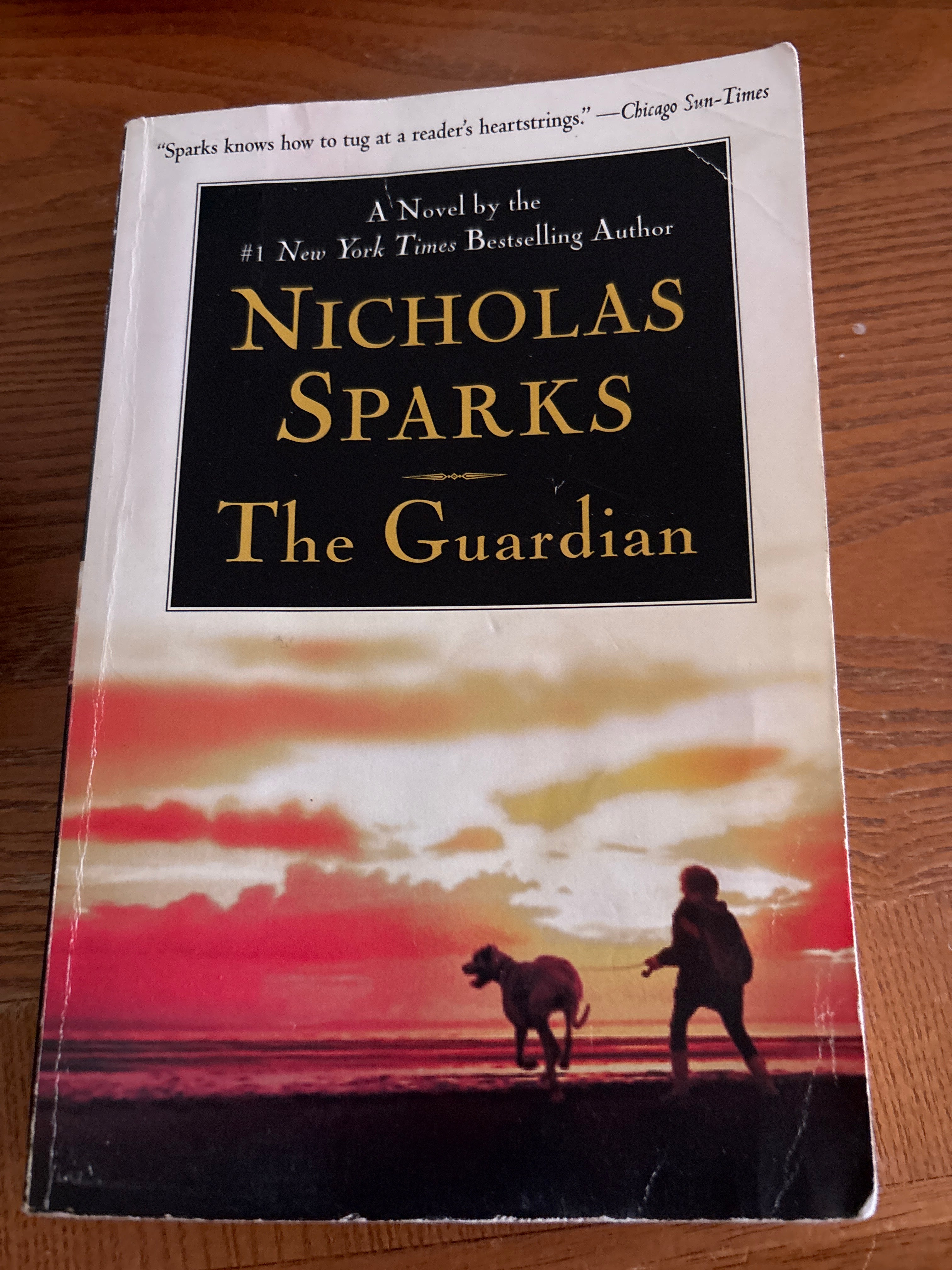 The Guardian by Nicholas Sparks paperback (rescued)