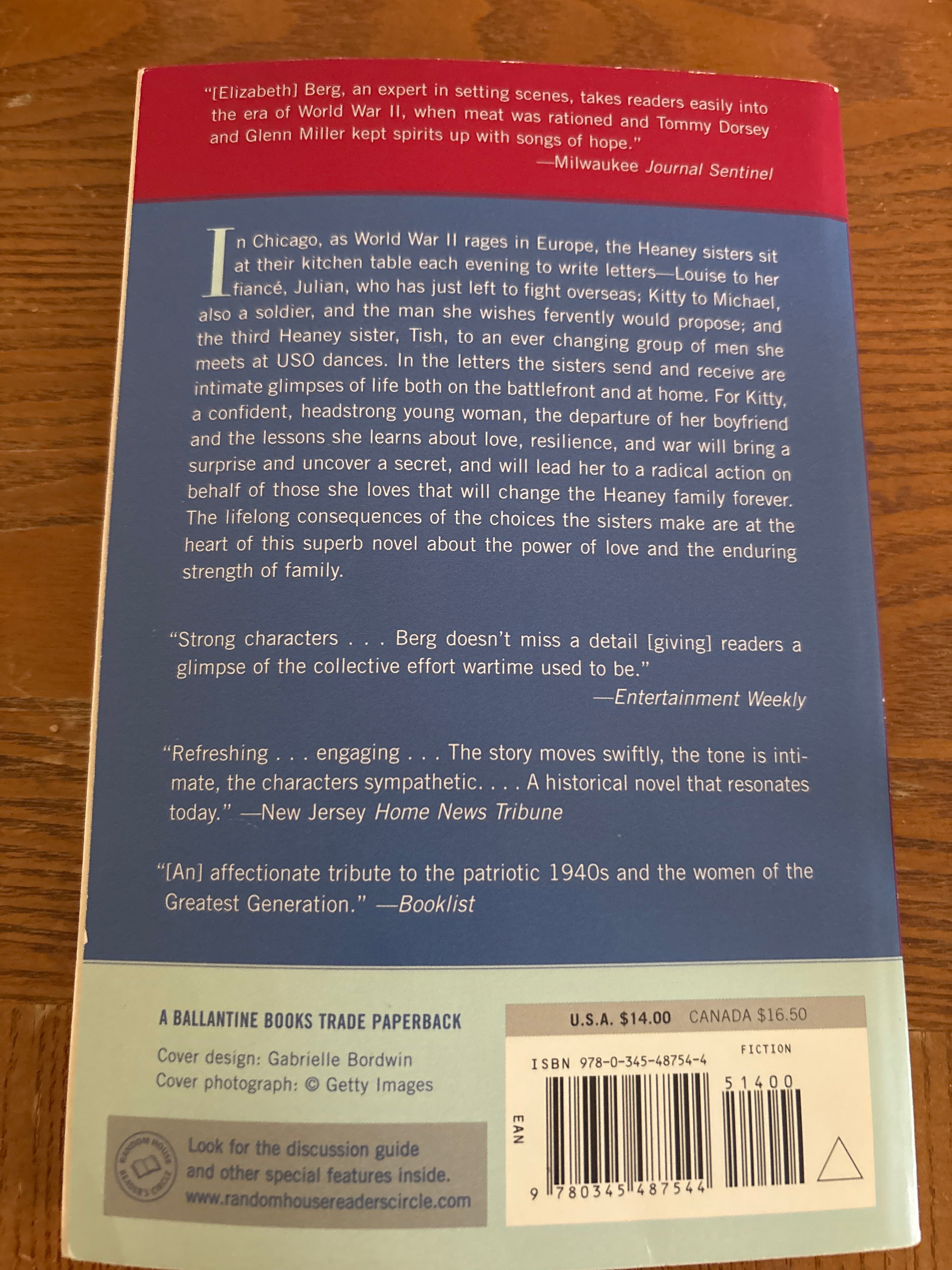 Dream When You’re Feeling Blue by Elizabeth Berg paperback (rescued)