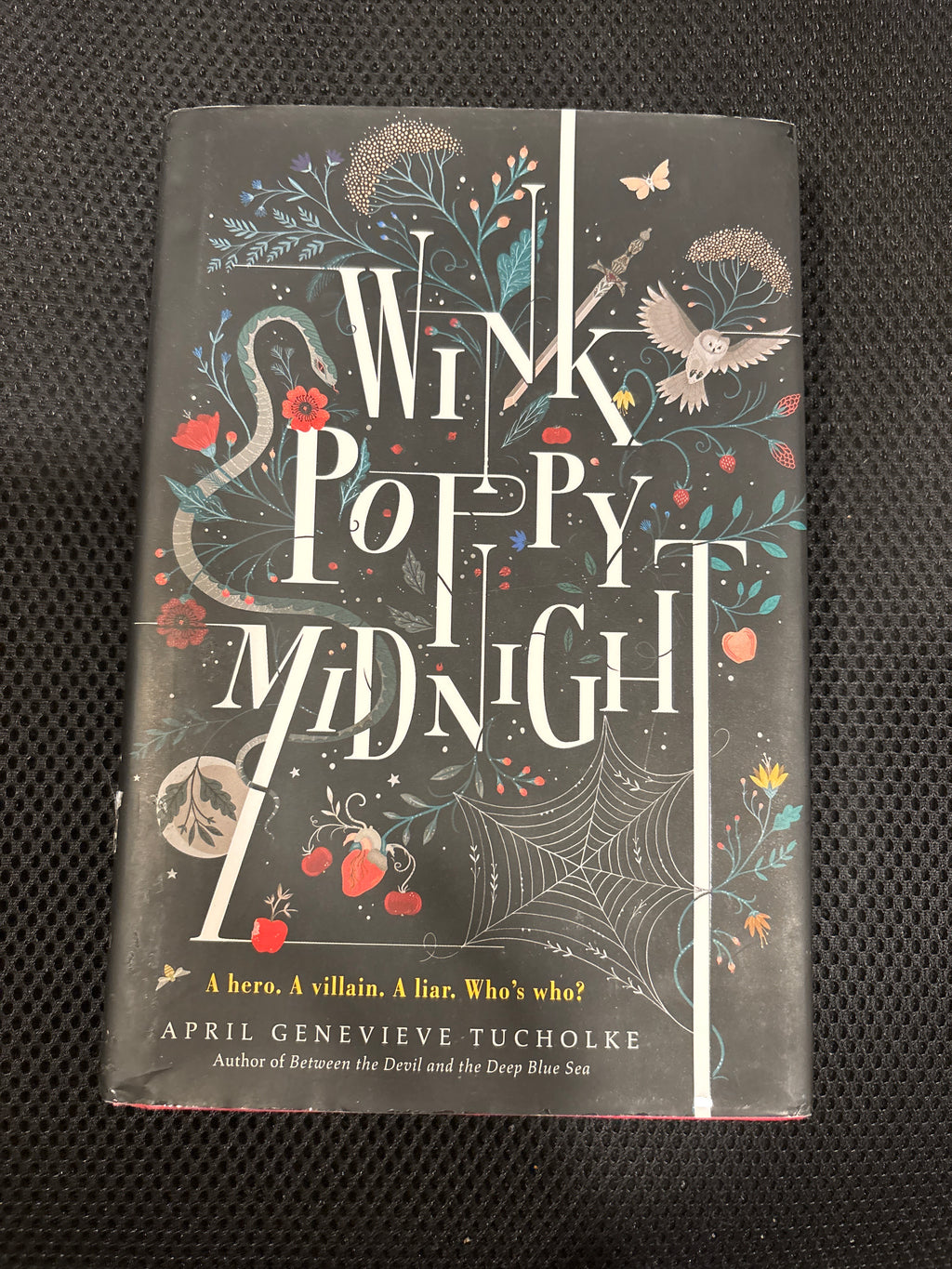 Wink Poppy Midnight by April Genevieve Tucholke YA hardcover (like new)