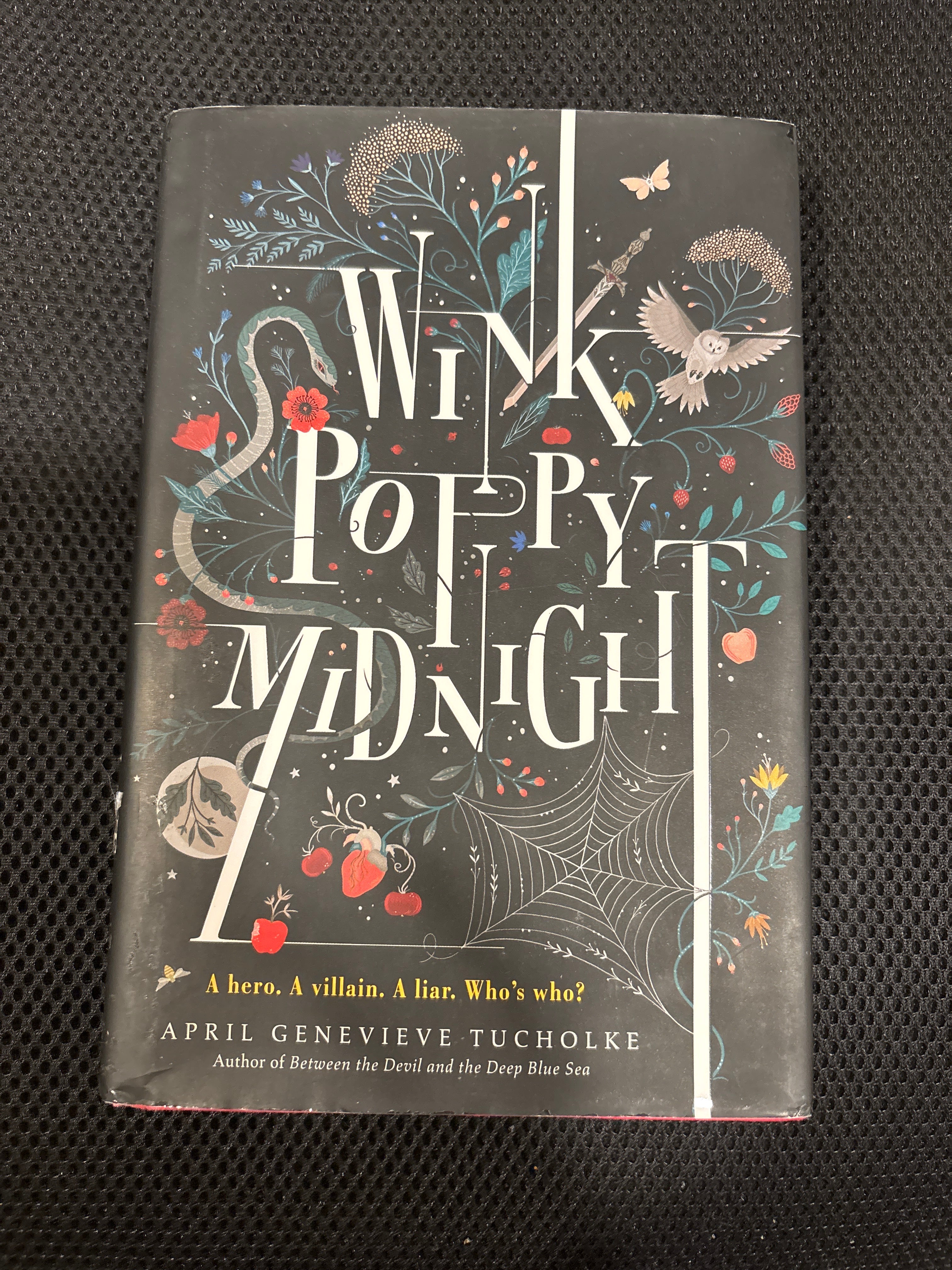 Wink Poppy Midnight by April Genevieve Tucholke YA hardcover (like new)