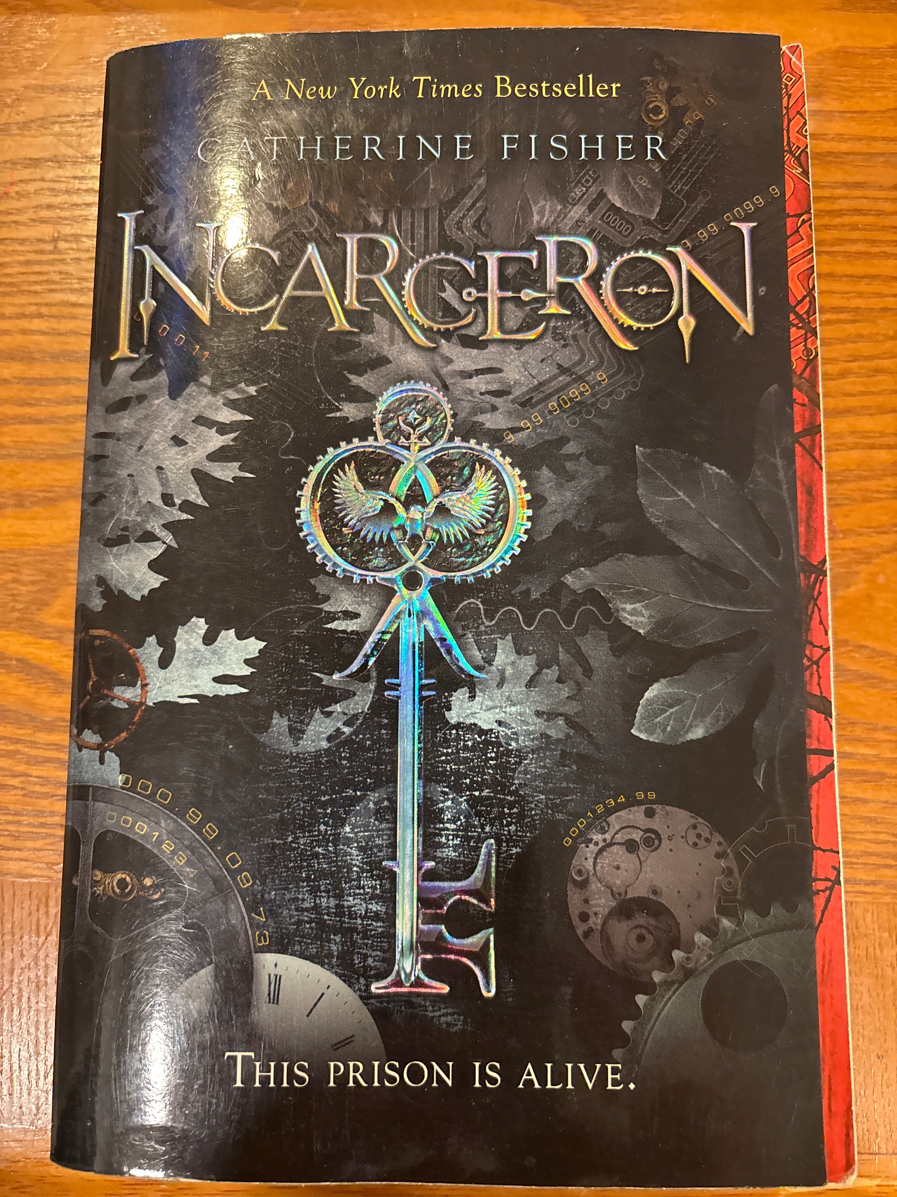 Incarceron (Book 1 of The Incarceron series) by Catherine Fisher paperback YA (rescued)