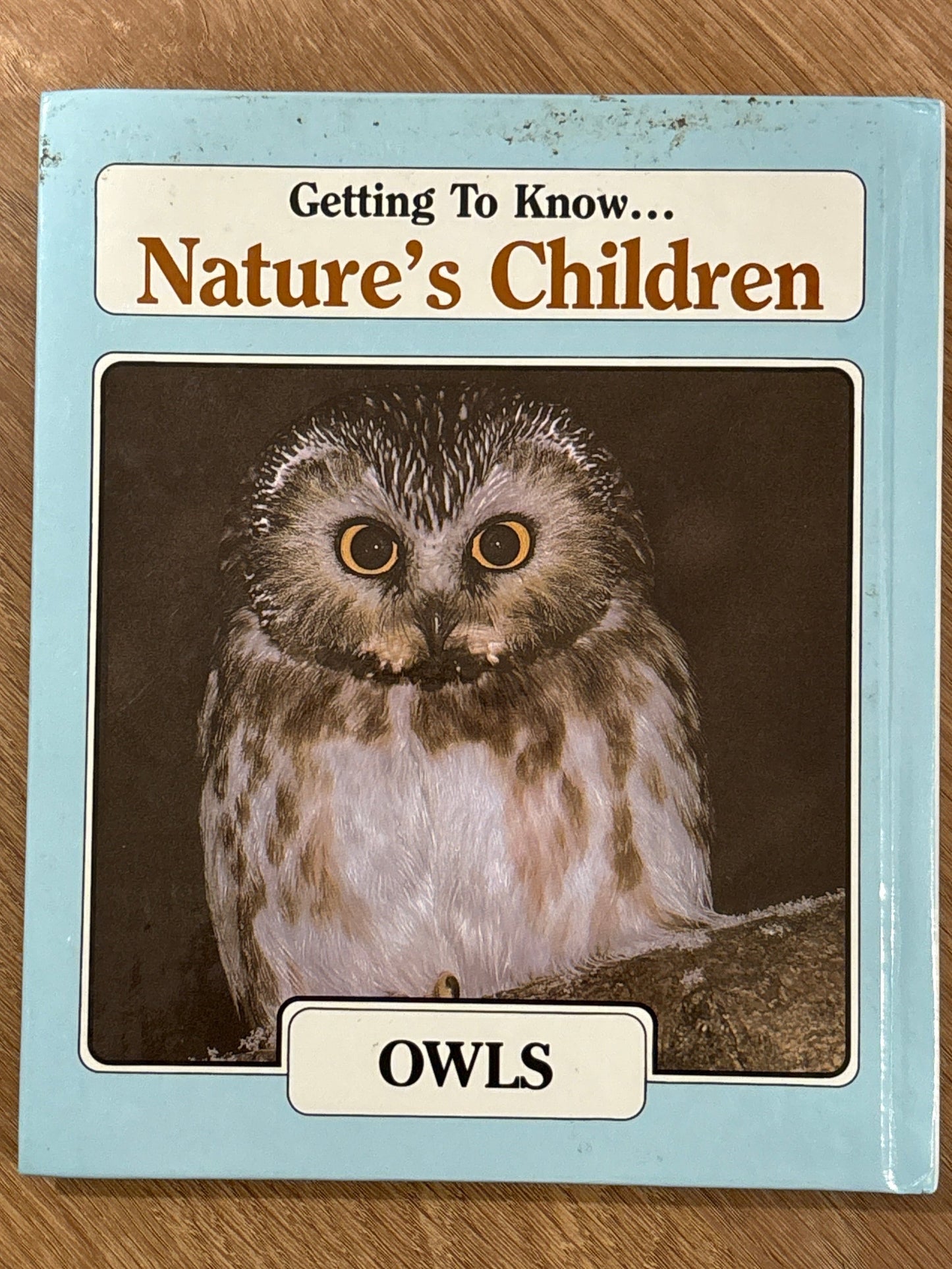 Getting to Know Nature's Children: Raccoons & Owls rescued/hardcover