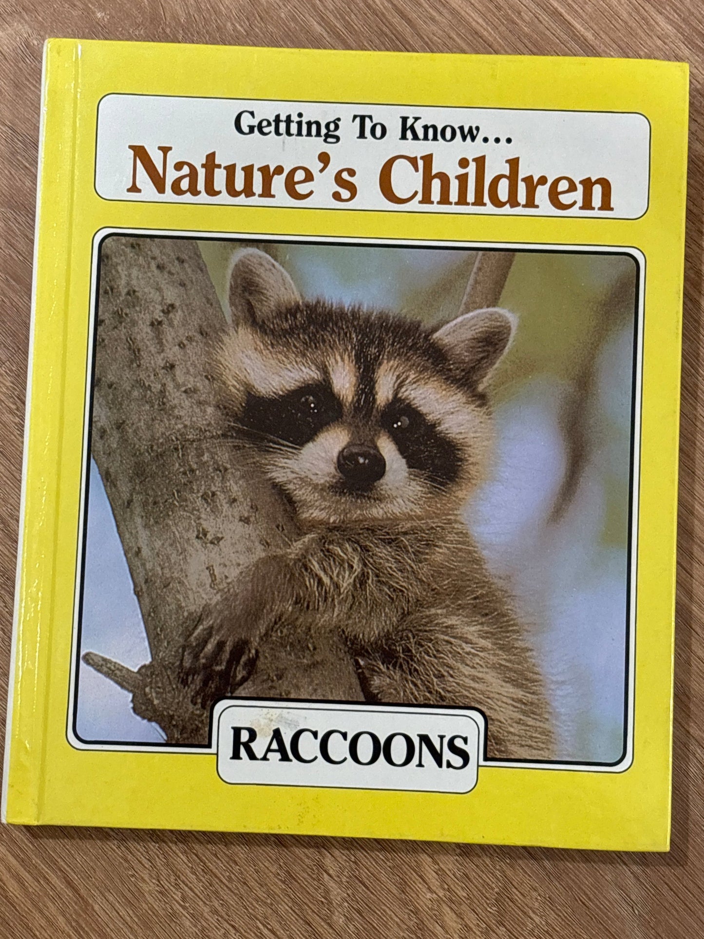 Getting to Know Nature's Children: Raccoons & Owls rescued/hardcover