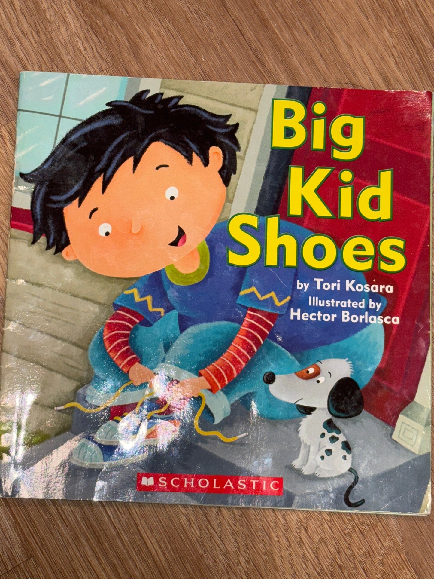 Big Kid Shoes by Tori Kosara rescued/paperback