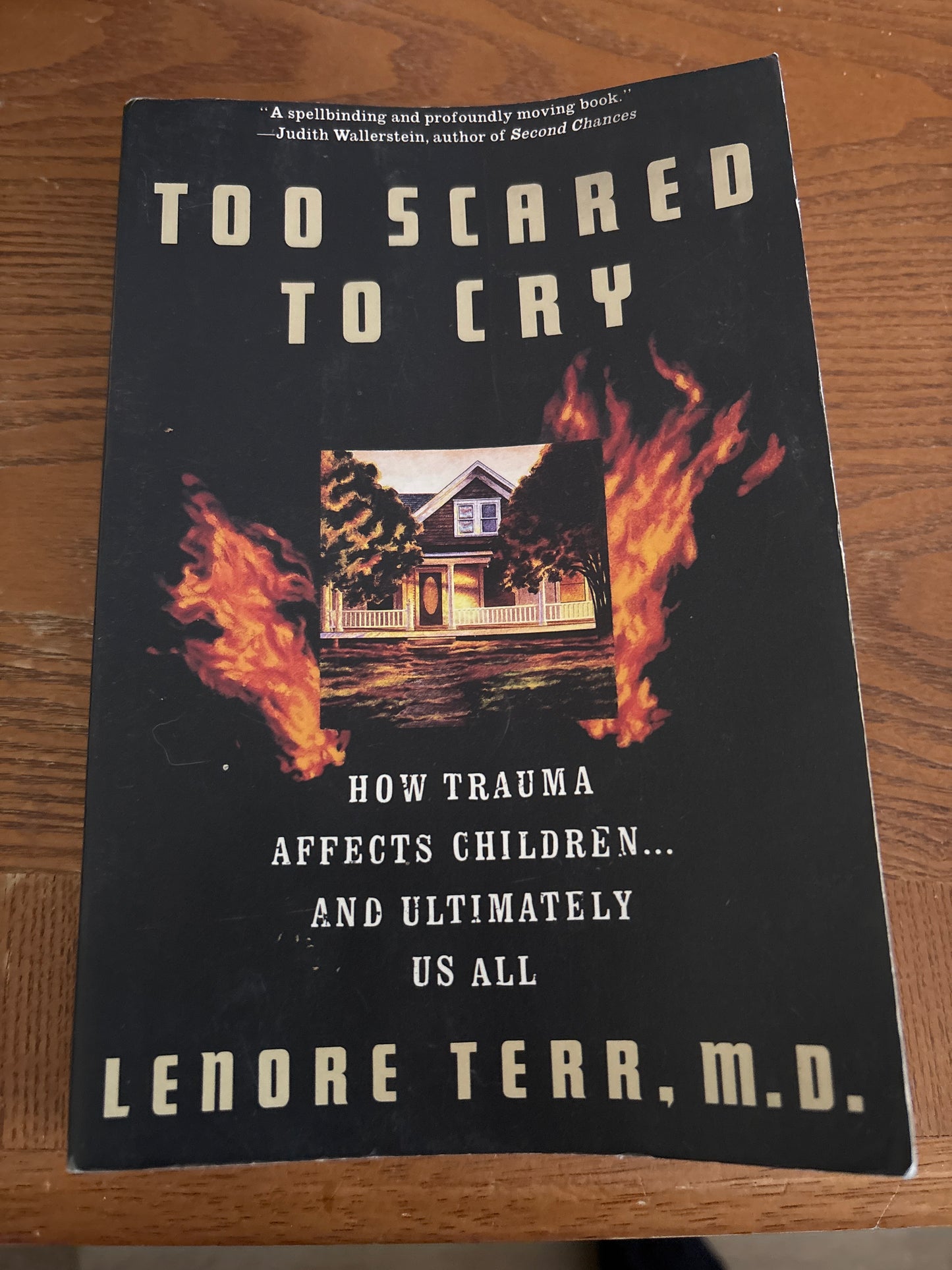 Too Scared to Cry: Psychic Trauma in Childhood by Lenore Terr, M.D. rescued/paperback