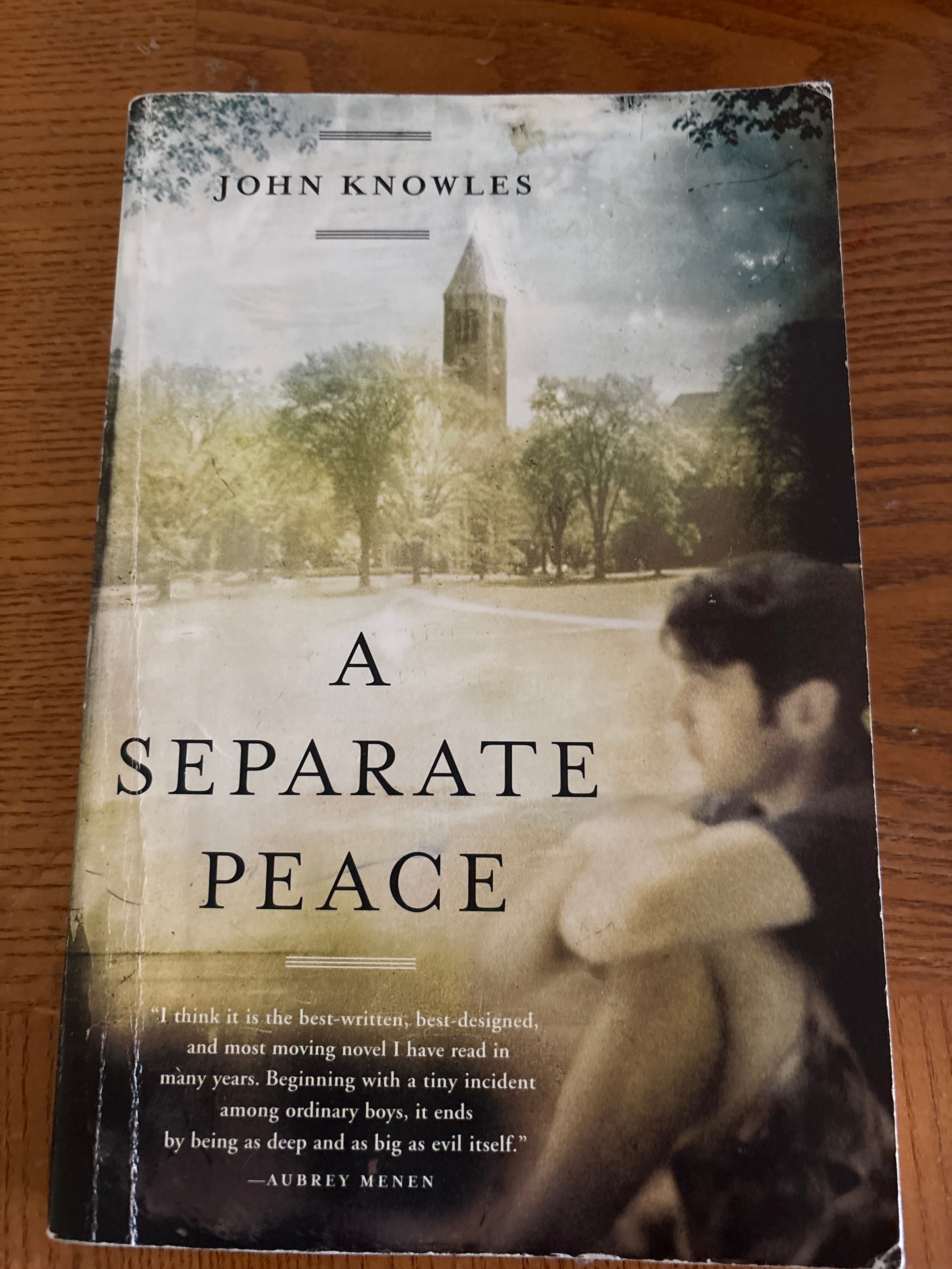 A Separate Peace by John Knowles YA paperback (rescued)