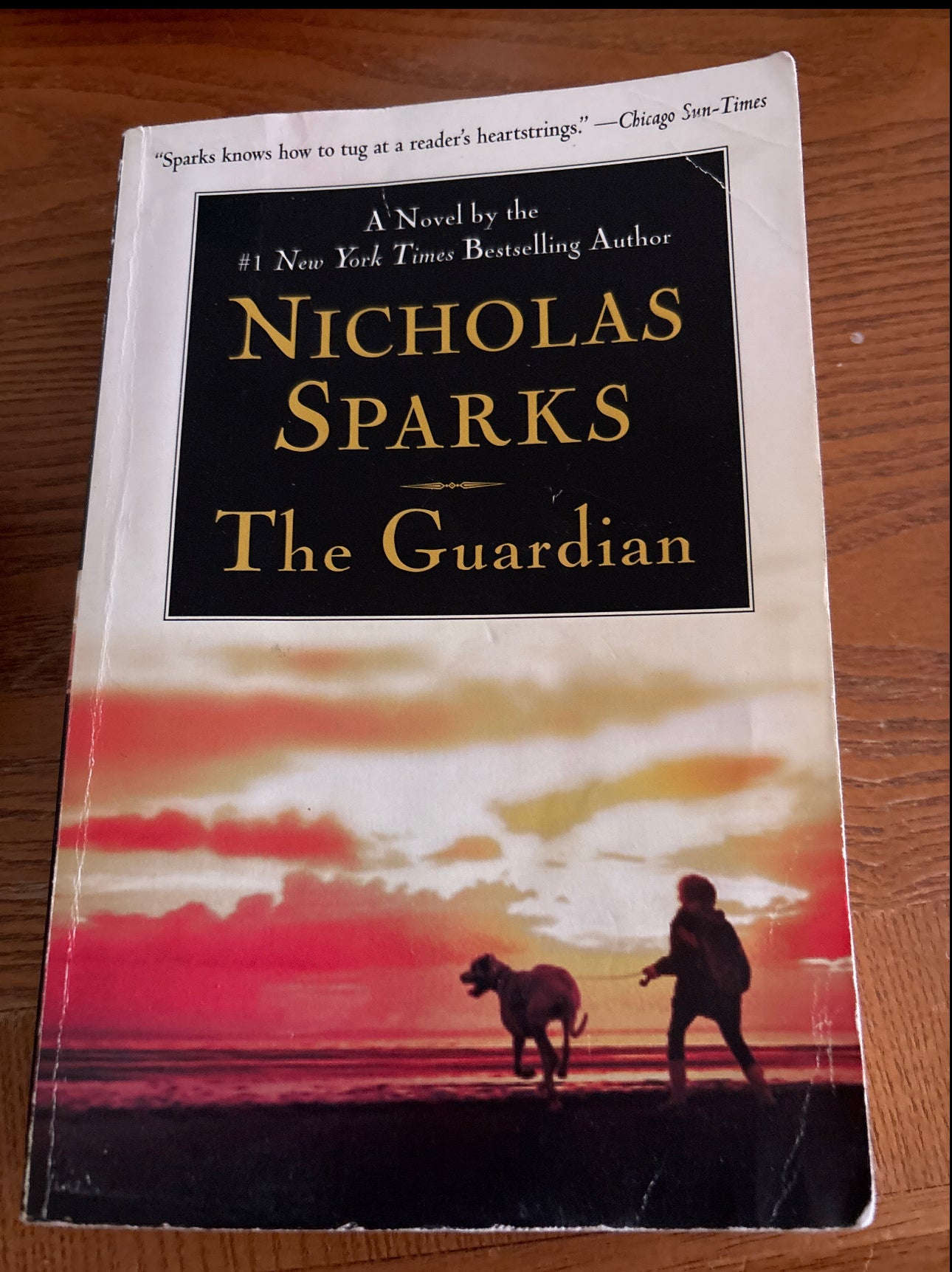 The Guardian by Nicholas Sparks paperback (mass market) (rescued)