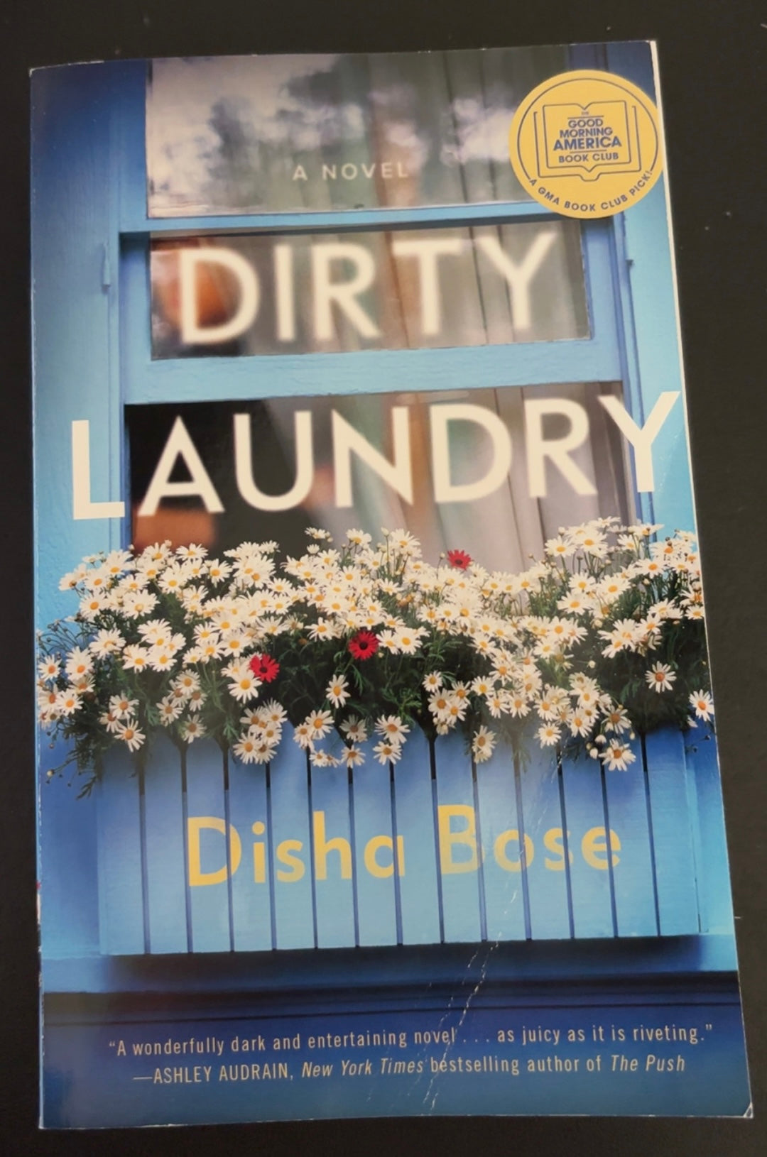 Dirty Laundry by Disha Bose paperback (like new)