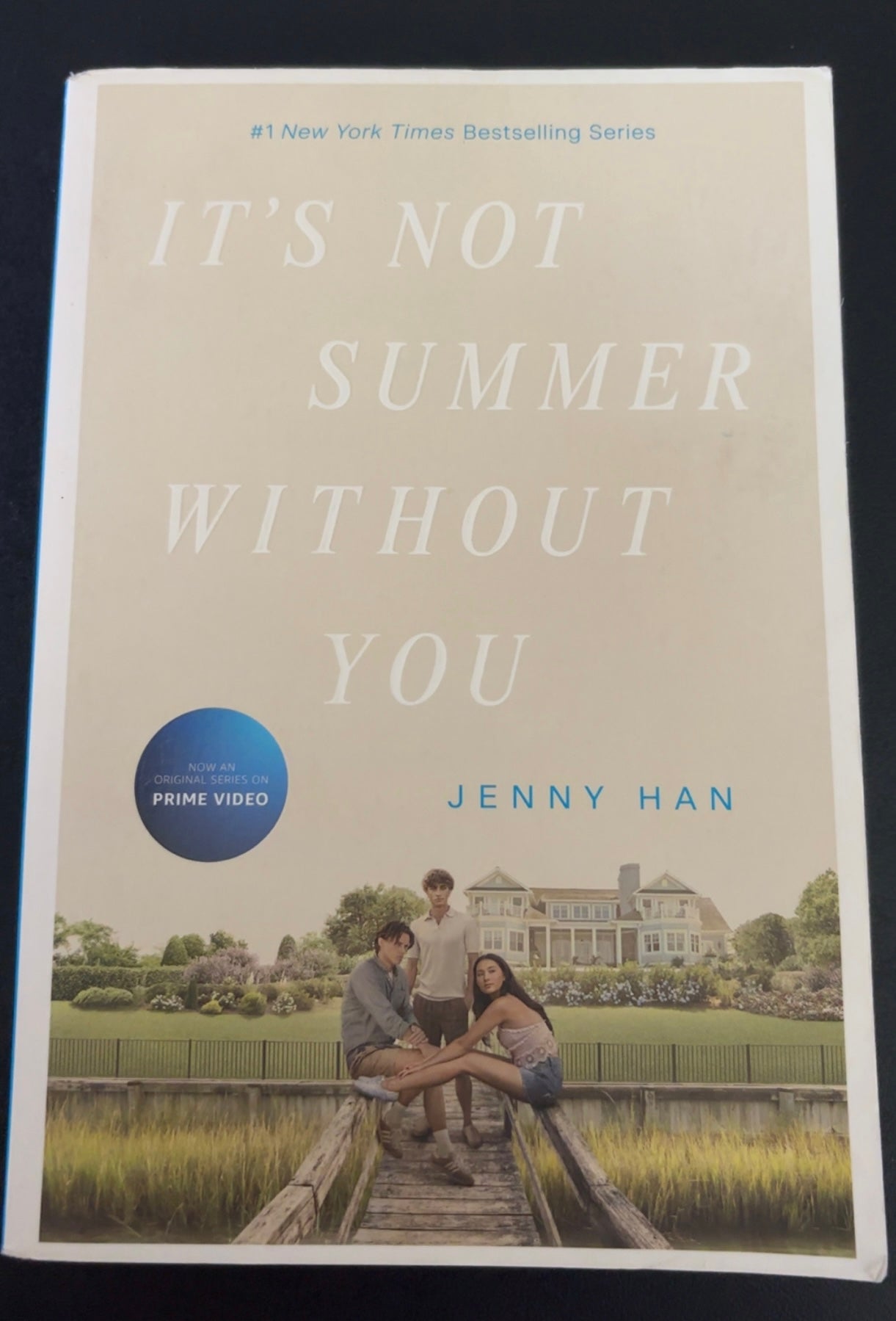 It’s Not Summer Without You (Book 2 of the Summer series) by Jenny Han YA paperback (like new) (2 covers available)
