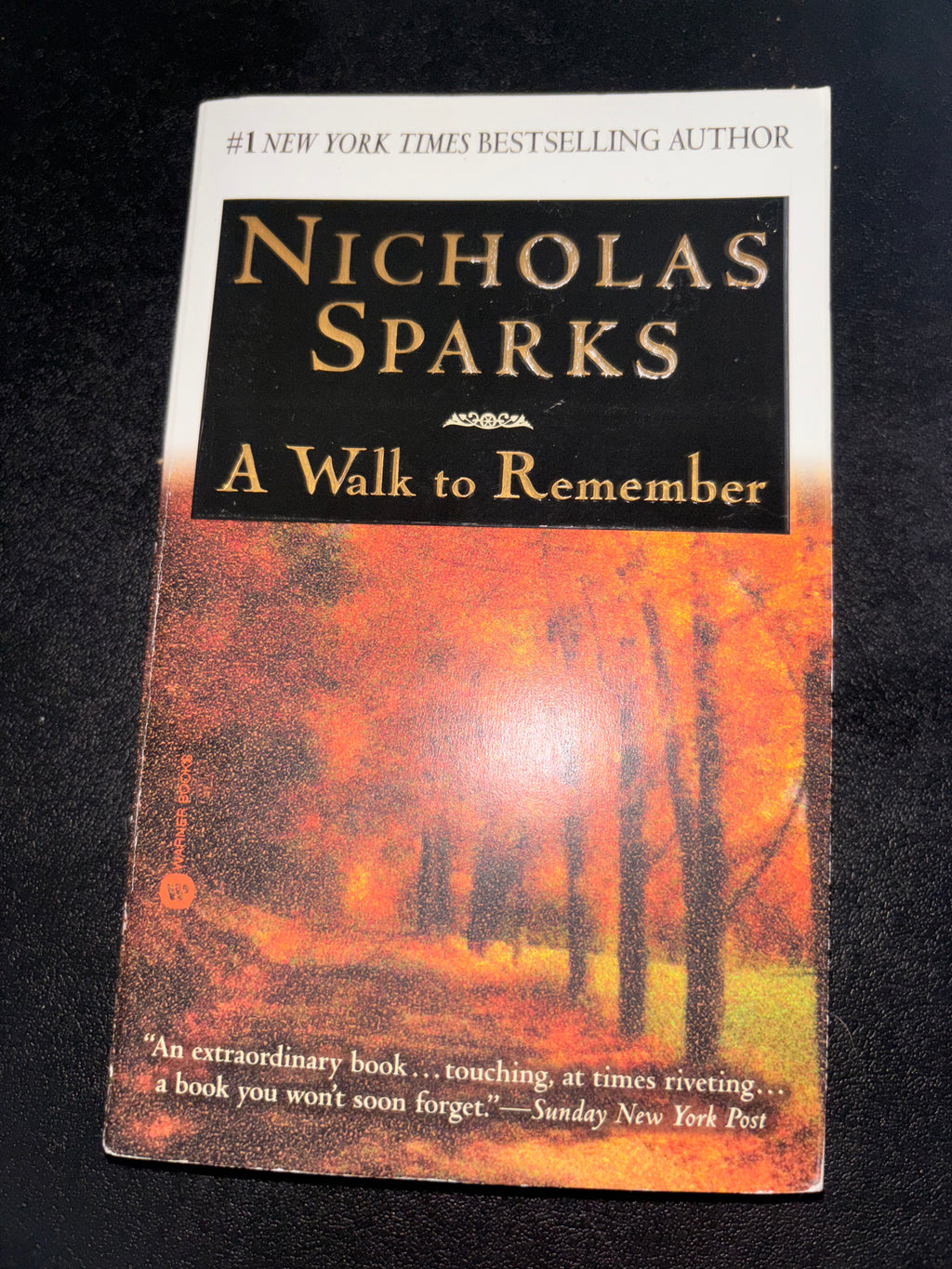 A Walk to Remember by Nicholas Sparks mass market (rescued) (2-cover options, 1 movie tie in)