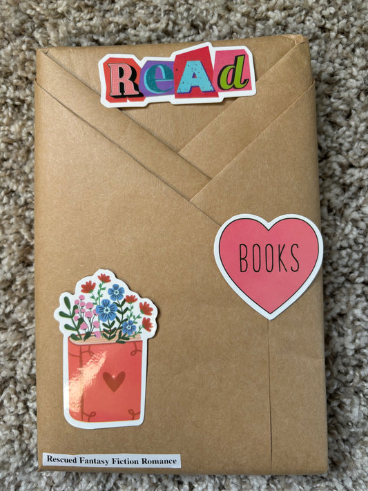 Blind Date with a Book #6 Rescued Fantasy Fiction Romance Paperback