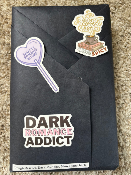 Blind Date with a book #18 Rough Rescued Dark Romance Novel paperback