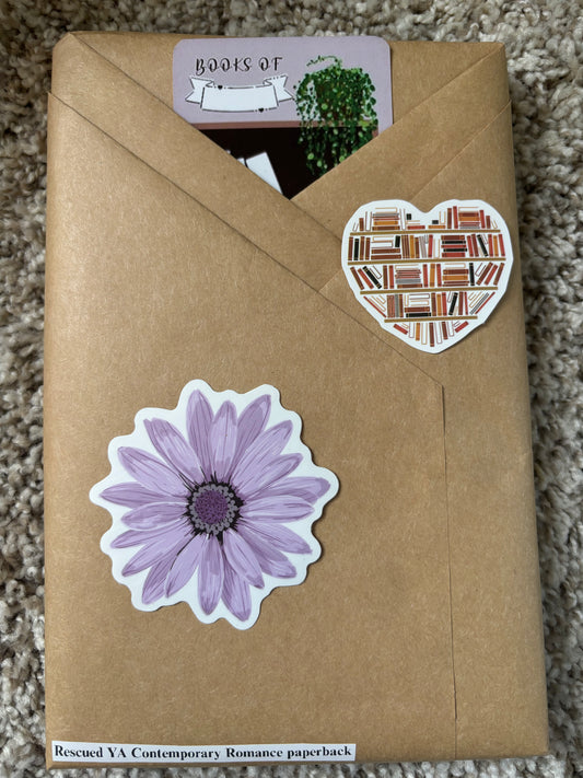 Blind Date with a book #22 Rescued YA Contemporary, Romance paperback
