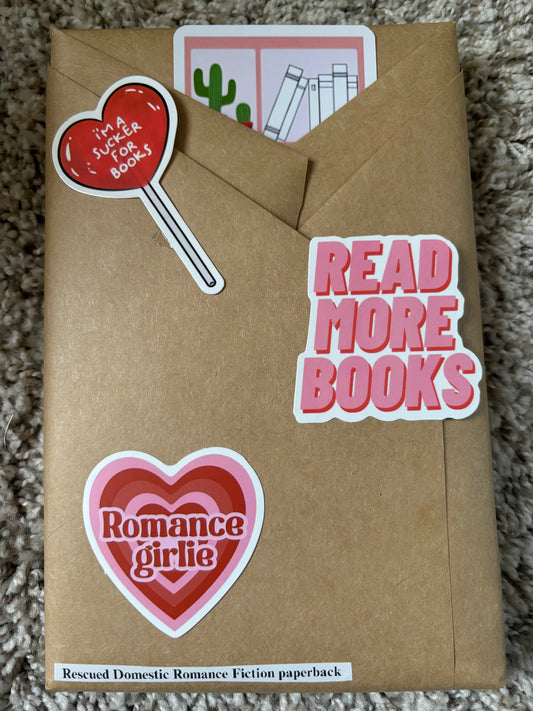 Blind Date with a Book #8 Rescued Domestic Romance Fiction paperback