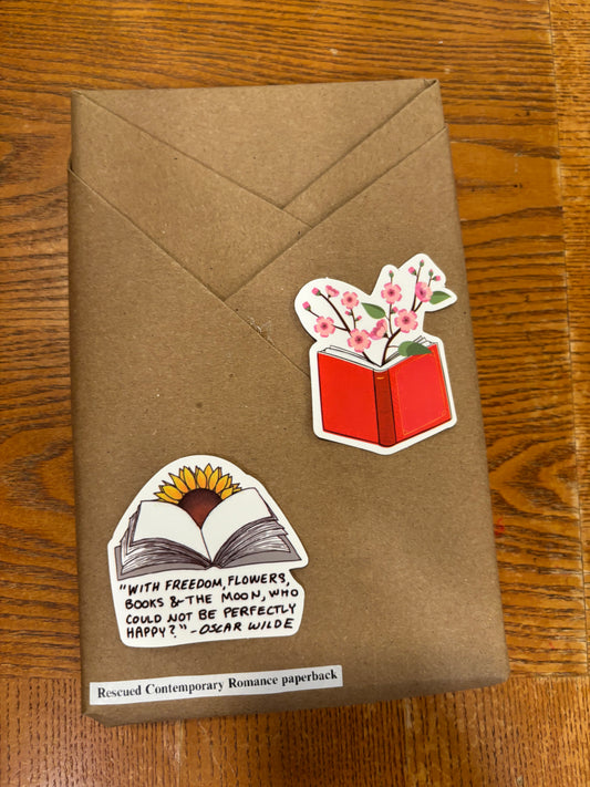 Blind Date With a Book #33 Rescued Contemporary Romance paperback