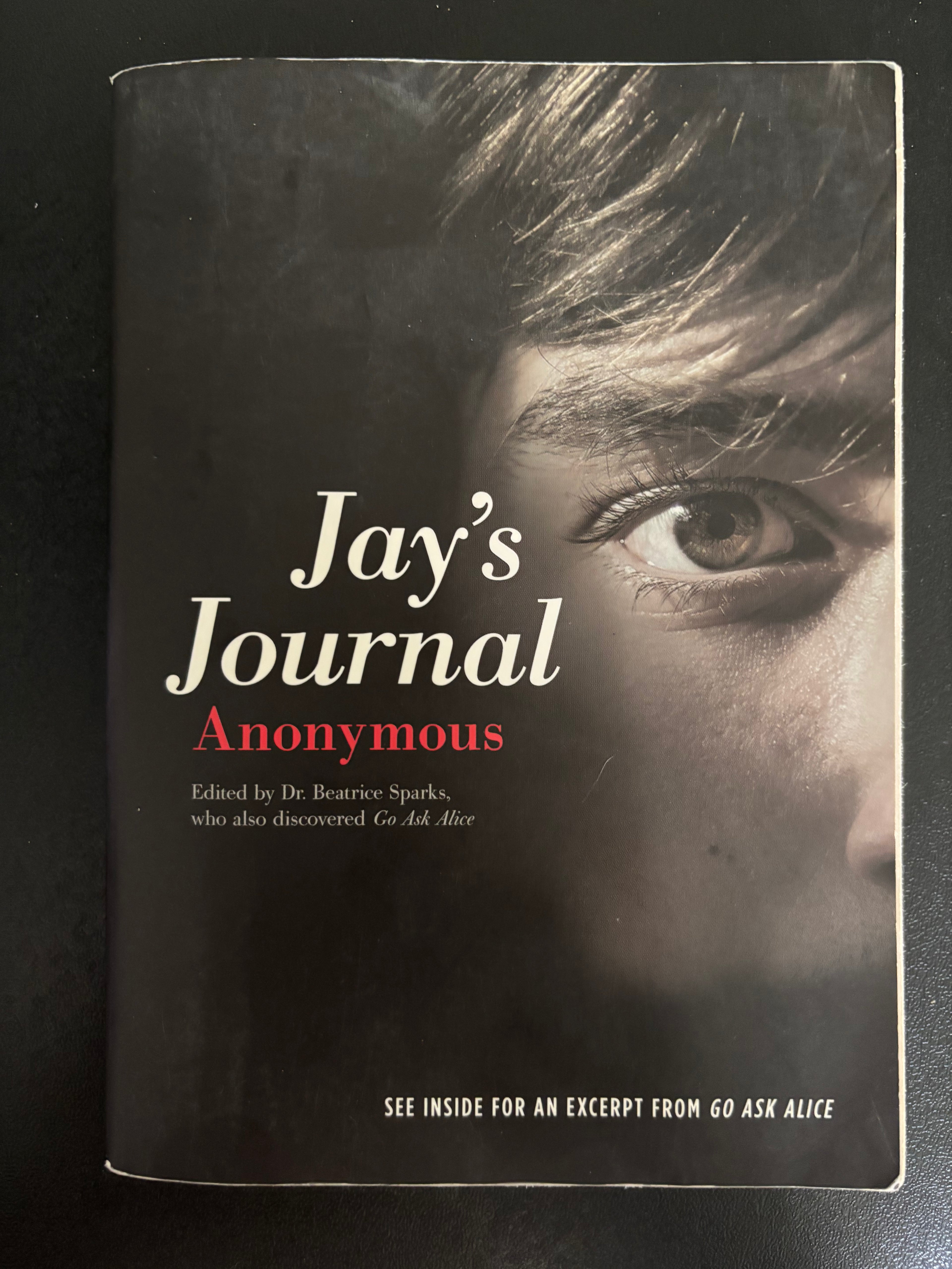 Jay’s Journal (Book 5 of the Anonymous Diaries series) by Beatrice Sparks paperback YA Banned Book YA (rescued)