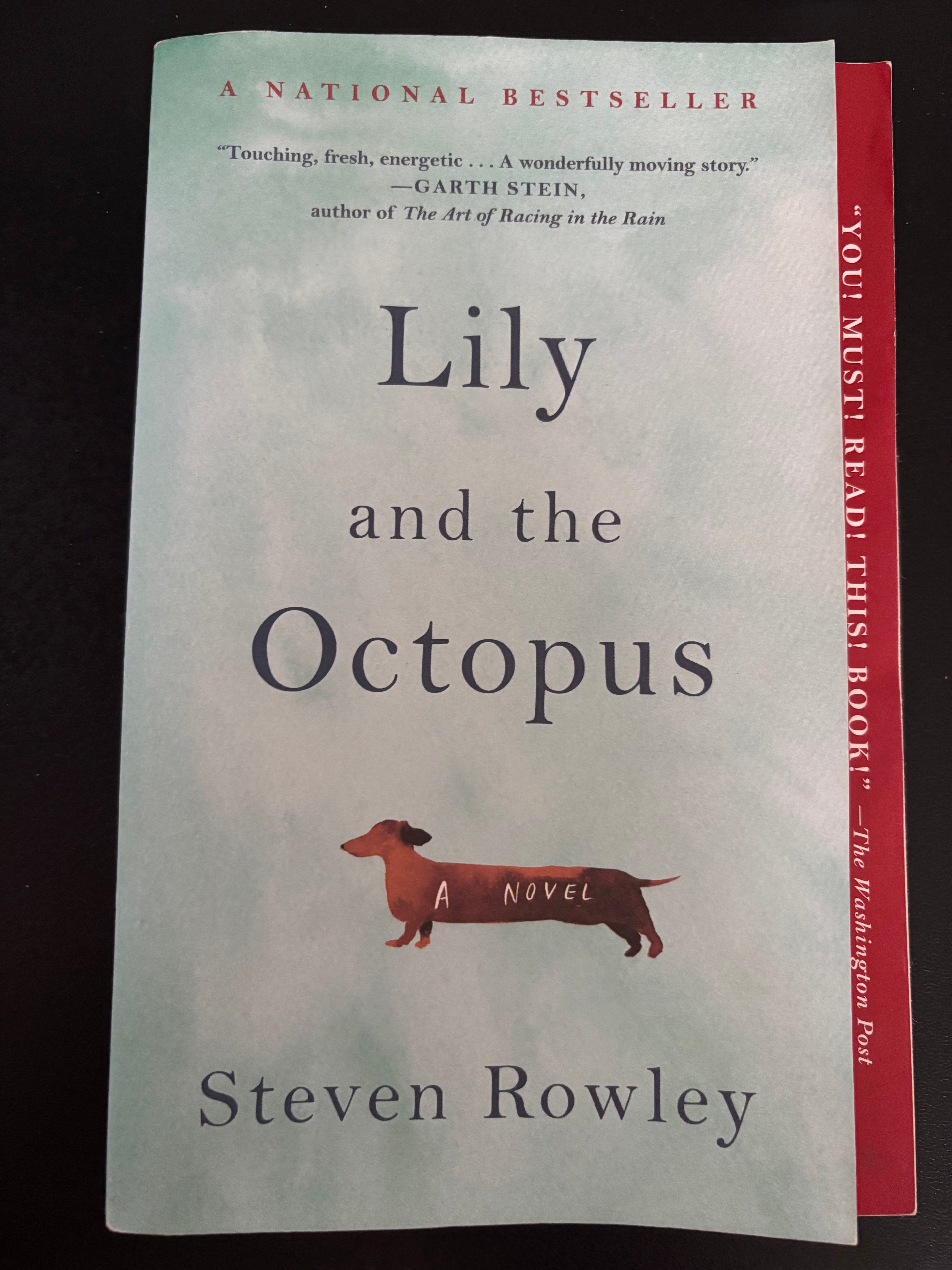 Lily and the Octopus by Steven Rowley paperback (rescued)