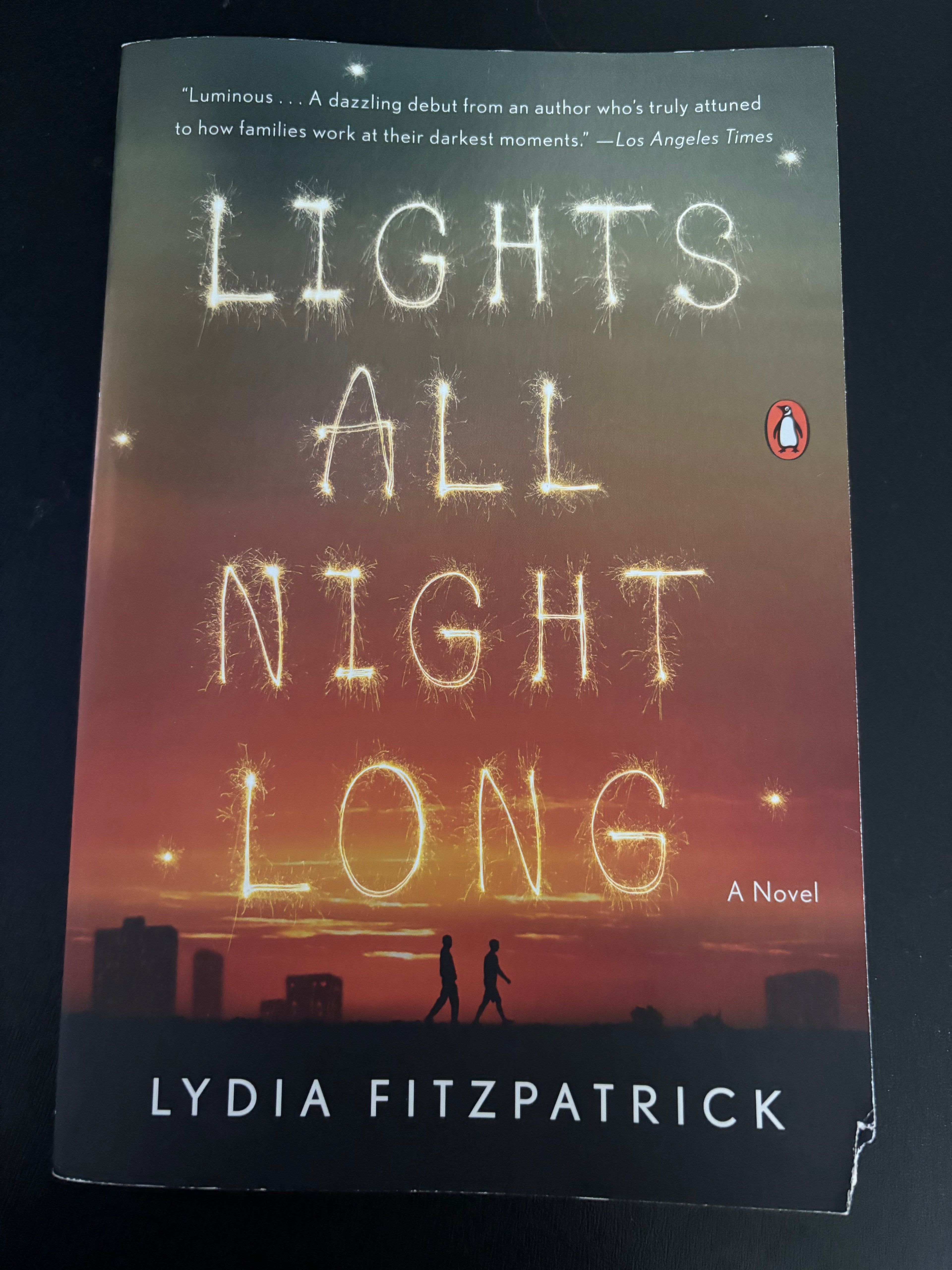 Lights All Night Long by Lydia Fitzpatrick YA paperback (rescued)