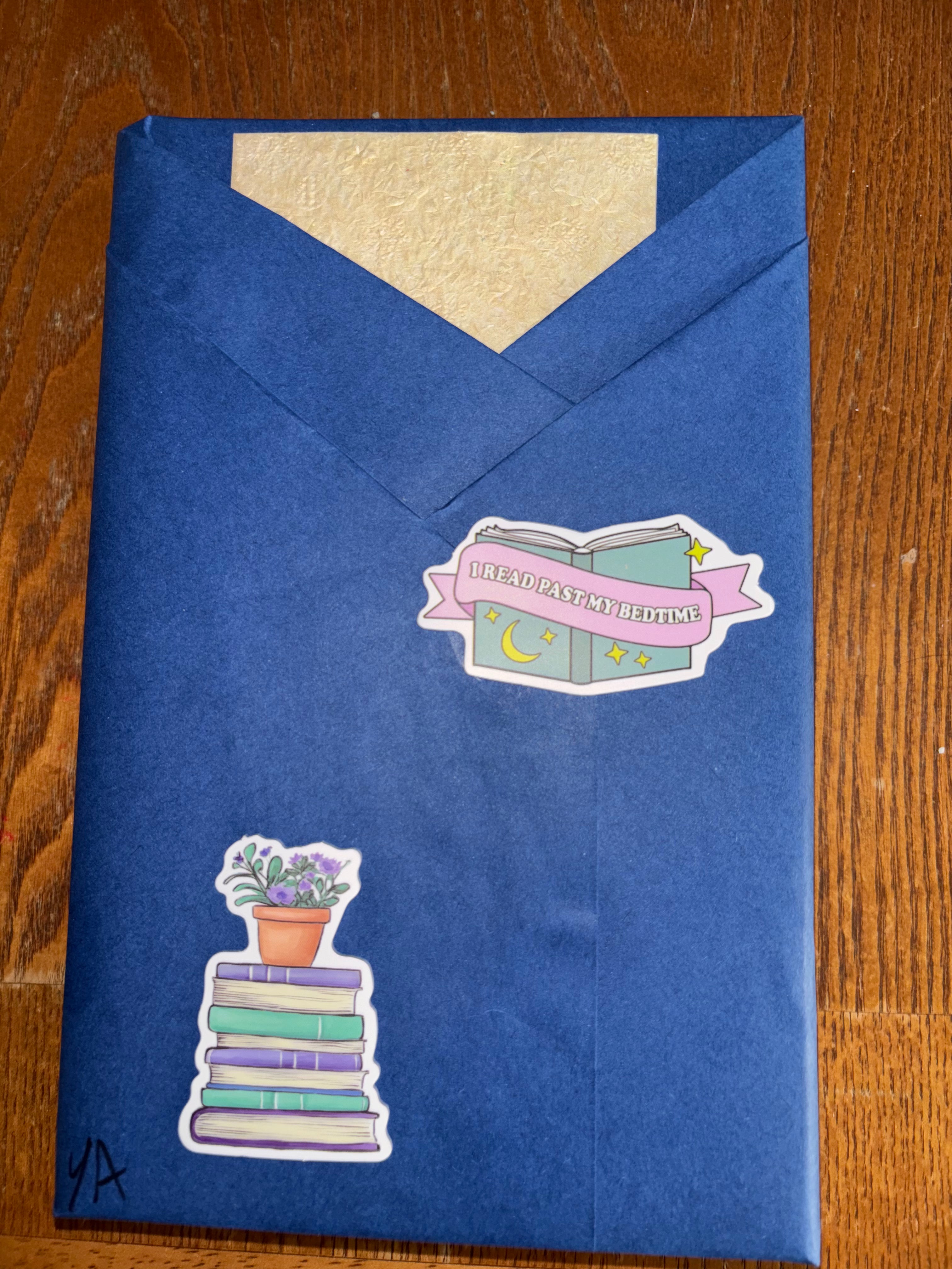 Blind Date with a Book #10 Rescued YA Bildungsroman (moral and psychological development)
