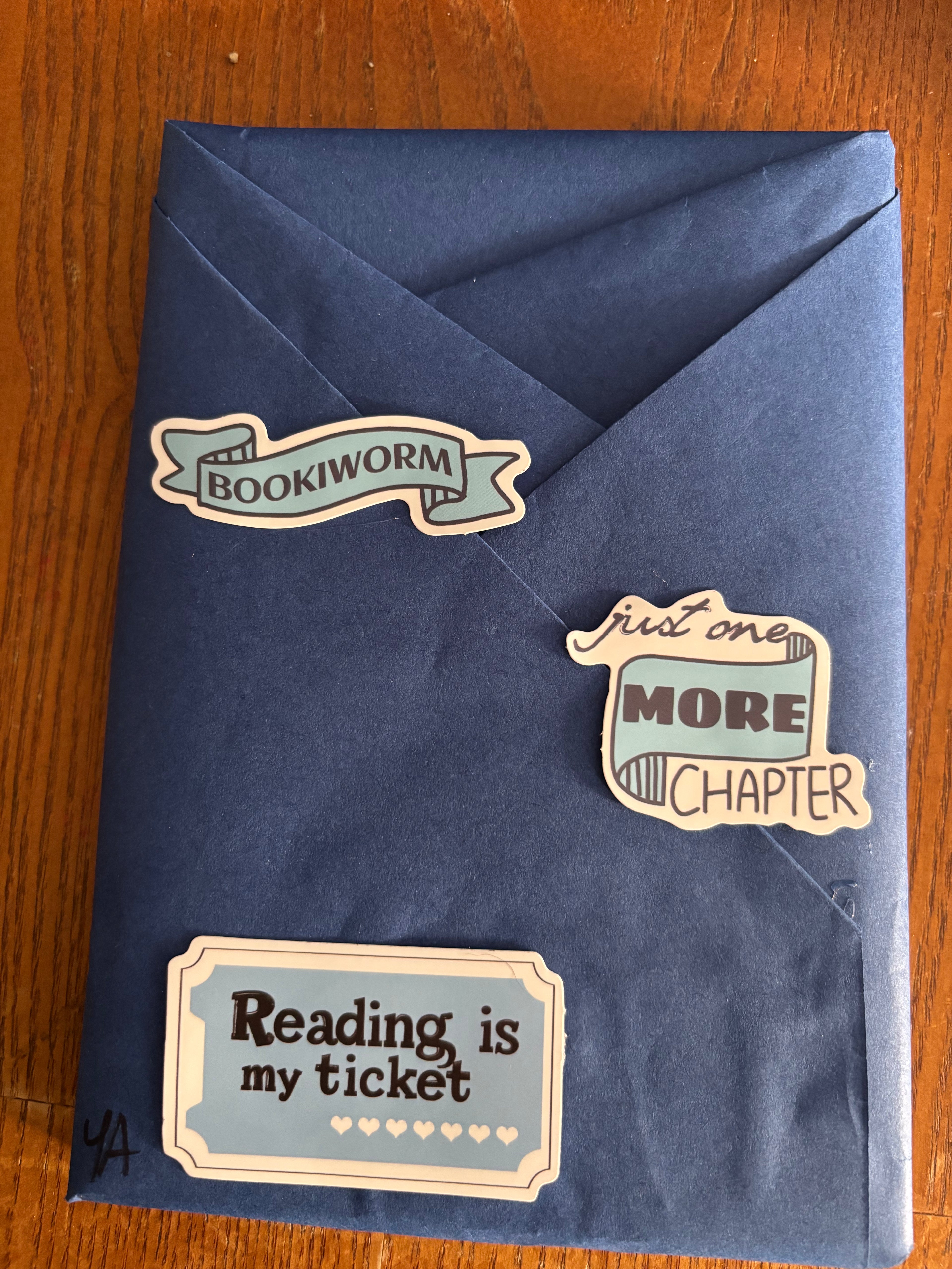 Blind Date With a Book #6 Rescued YA Romantic Comedy Coming of Age paperback