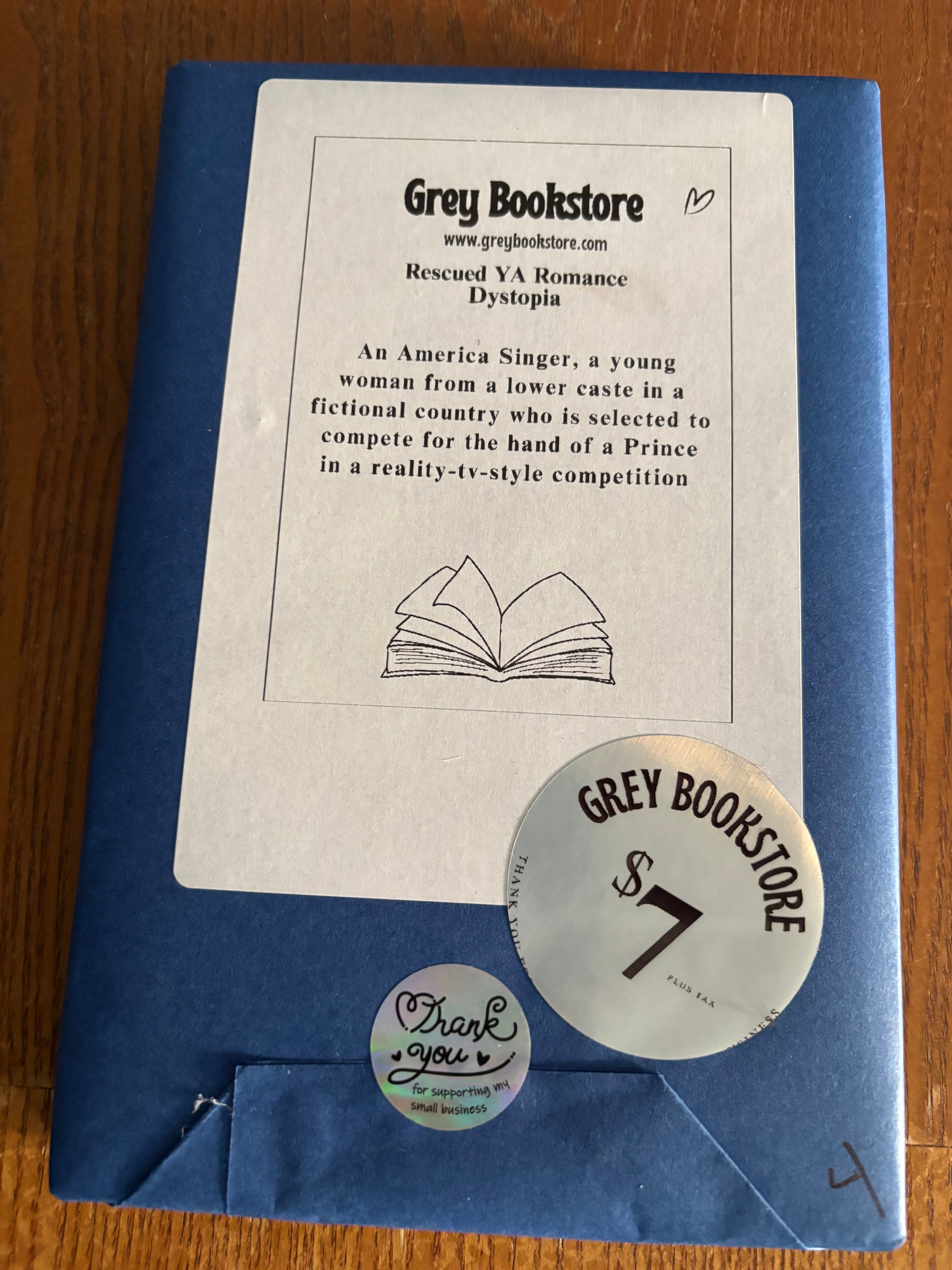 Blind Date With a Book #4 Rescued YA Romance Dystopia paperback