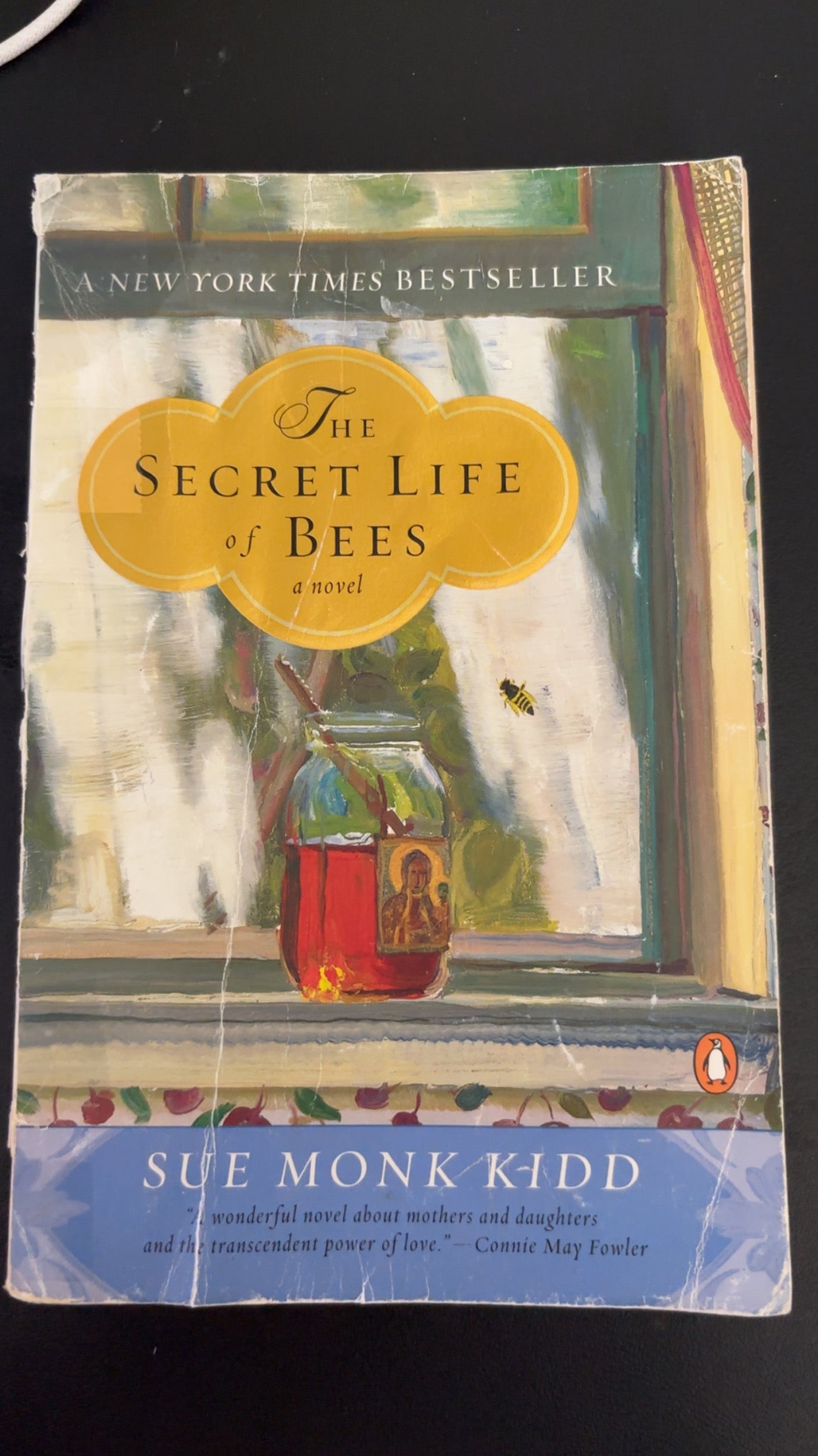 The Secret Life of Bees by Sue Monk Kidd YA paperback (rescued)