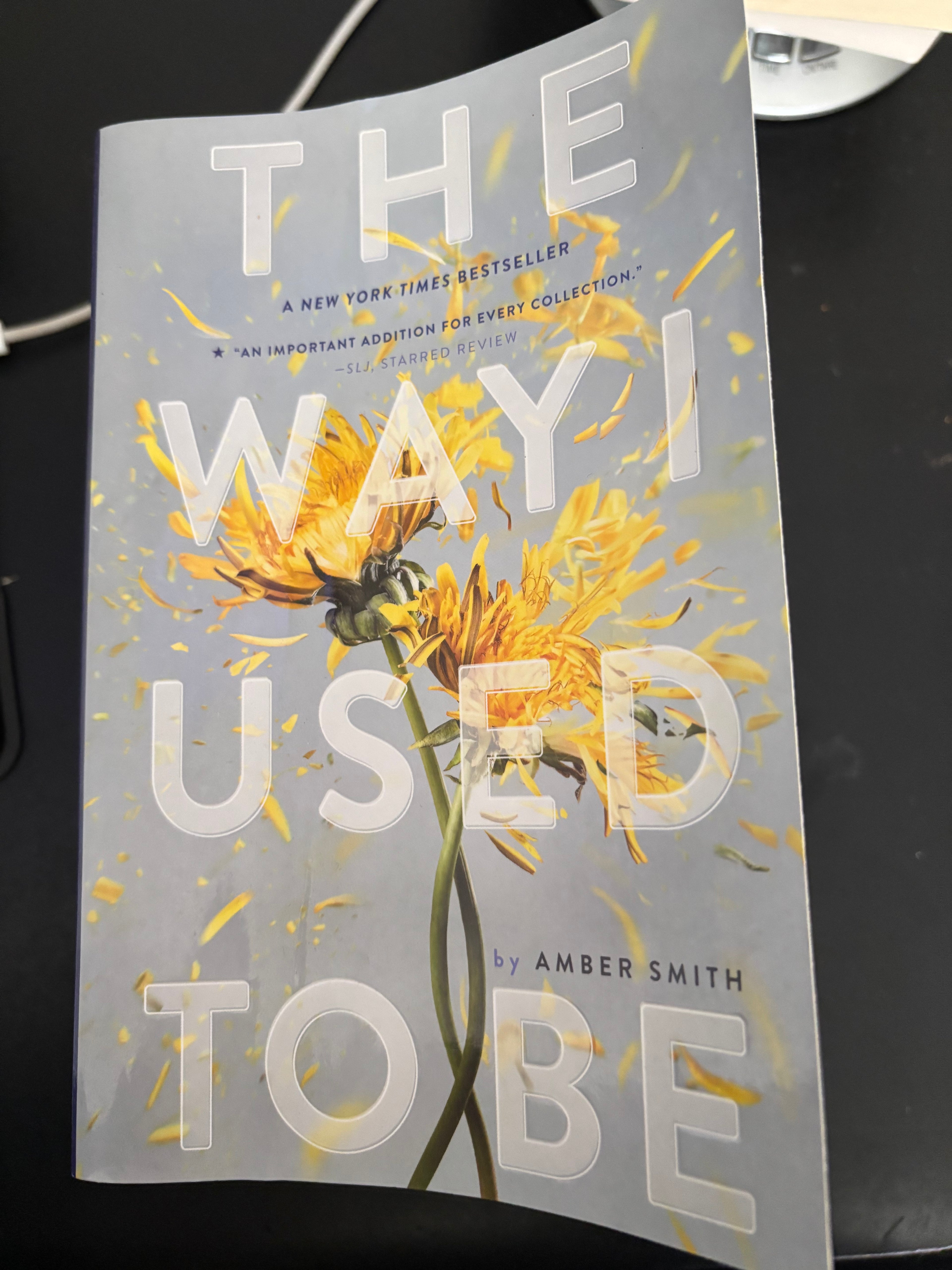 The Way I Used To Be (Book 1 of The Way I Used To Be series) by Amber Smith YA paperback (rescued)