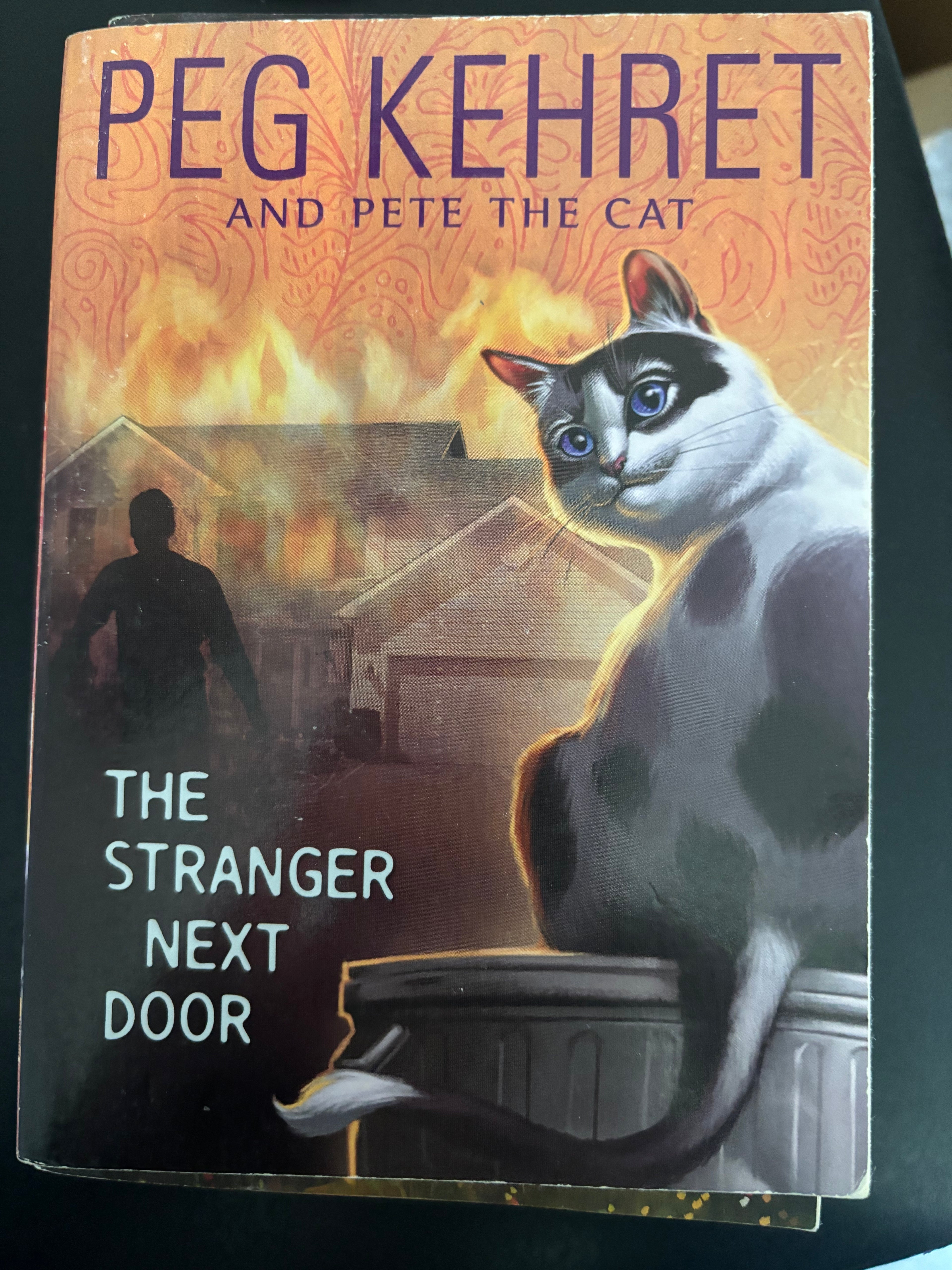 The Stranger Next Door by Peg Kehret paperback (rescued)