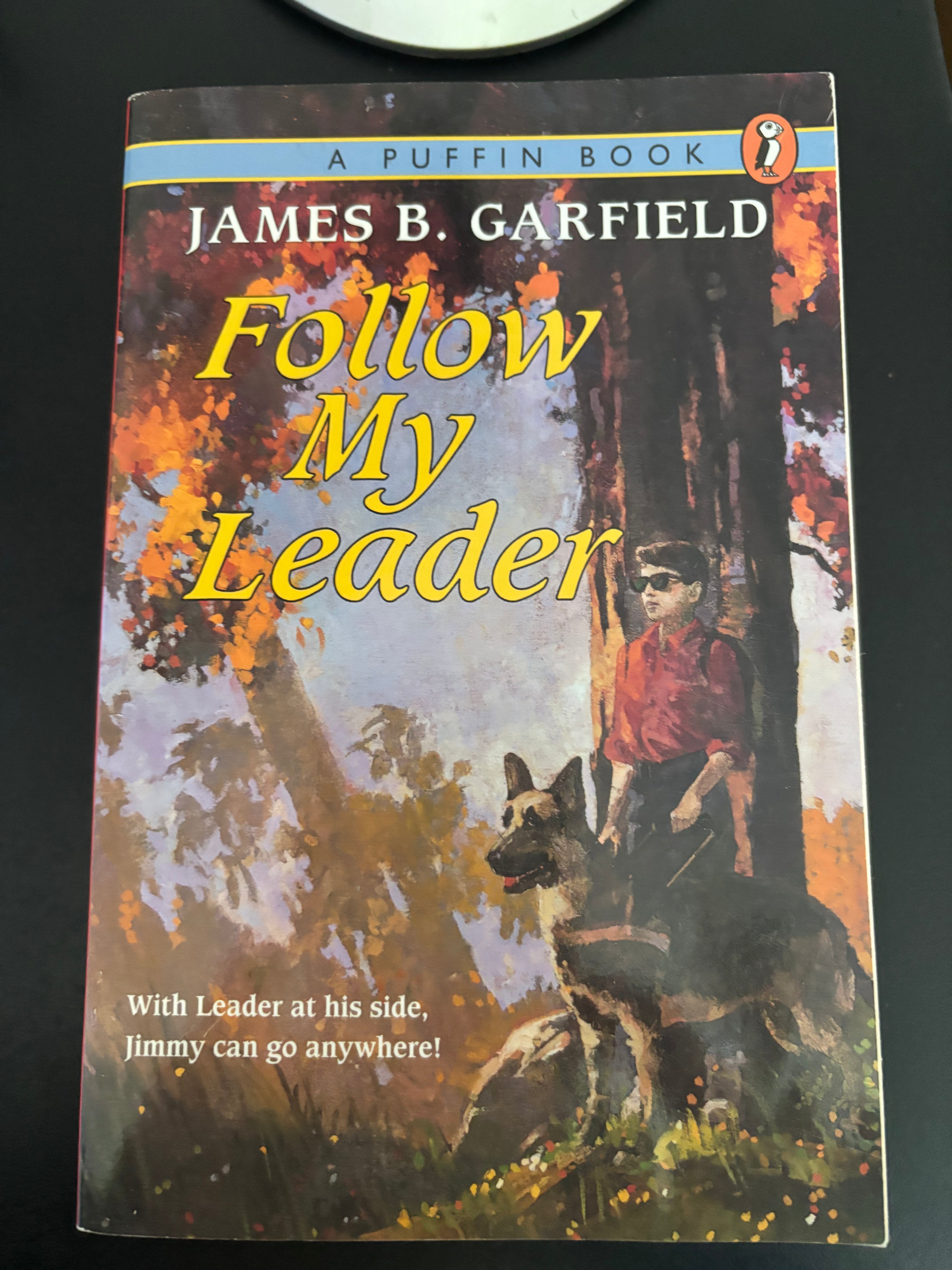 Follow My Leader by James B. Garfield paperback (rescued)