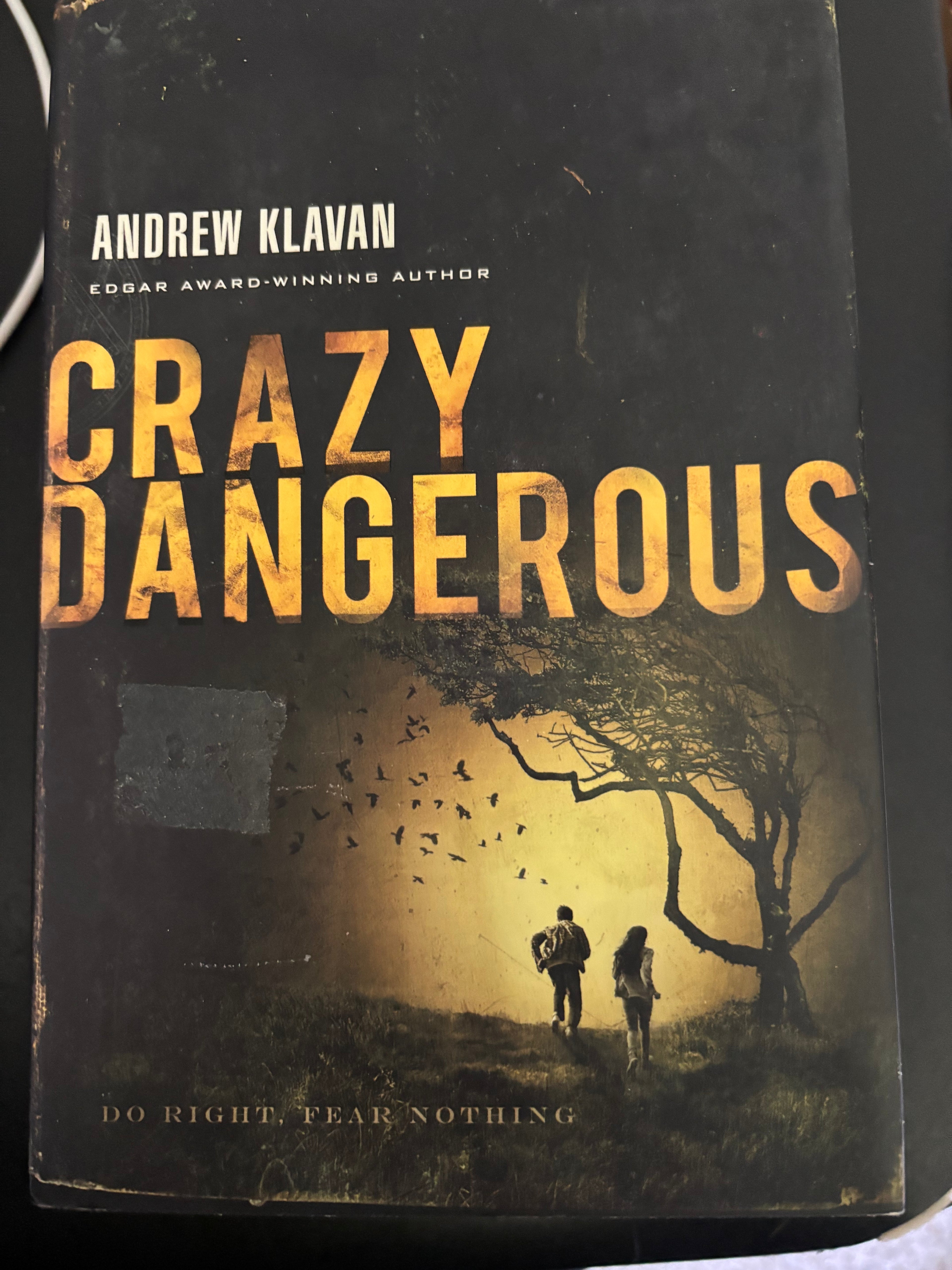 Crazy Dangerous by Andrew Klavan YA hardcover (rescued)