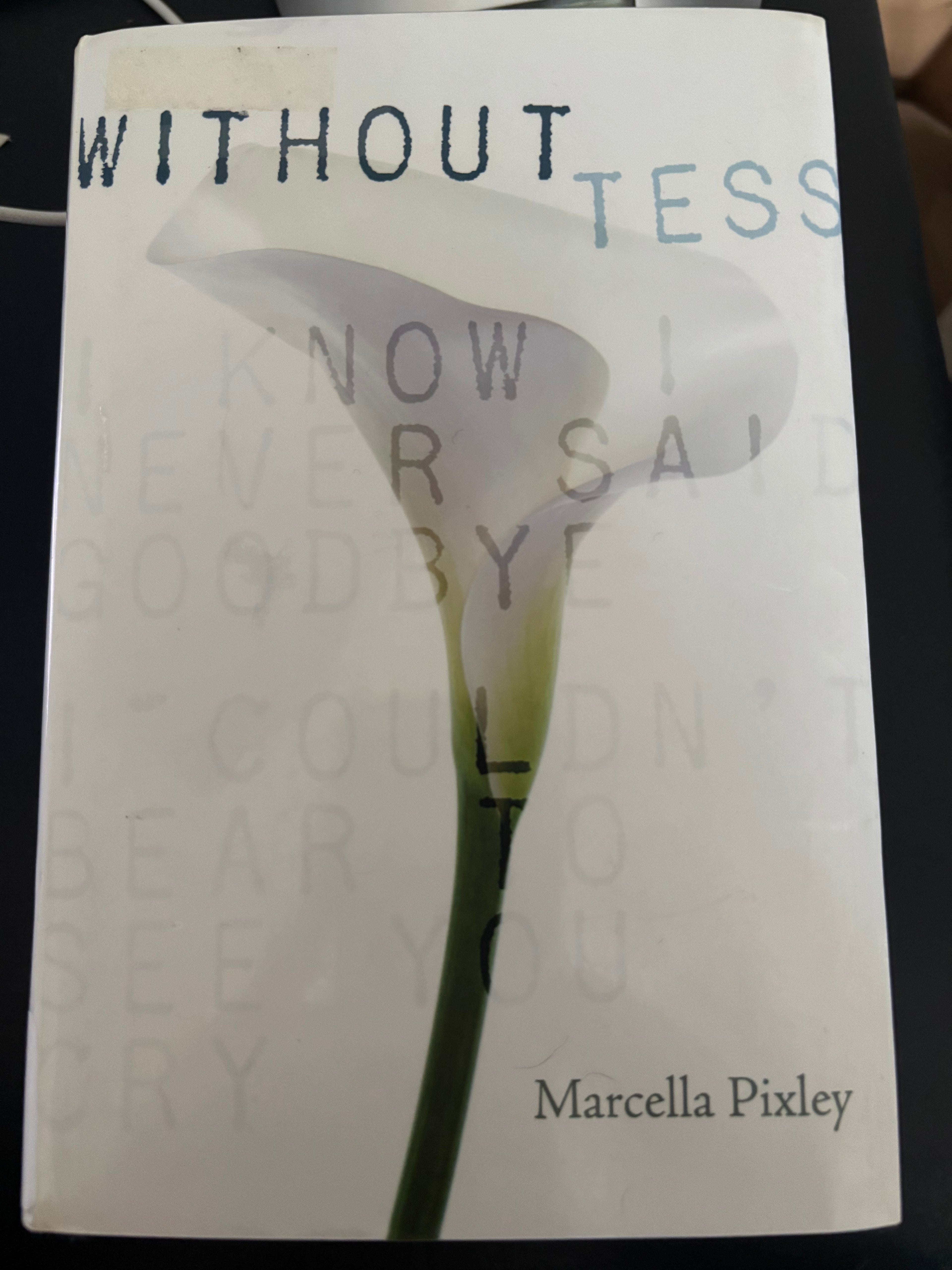 Without Tess by Marcella Pixley YA hardcover (rescued) (old library copy)