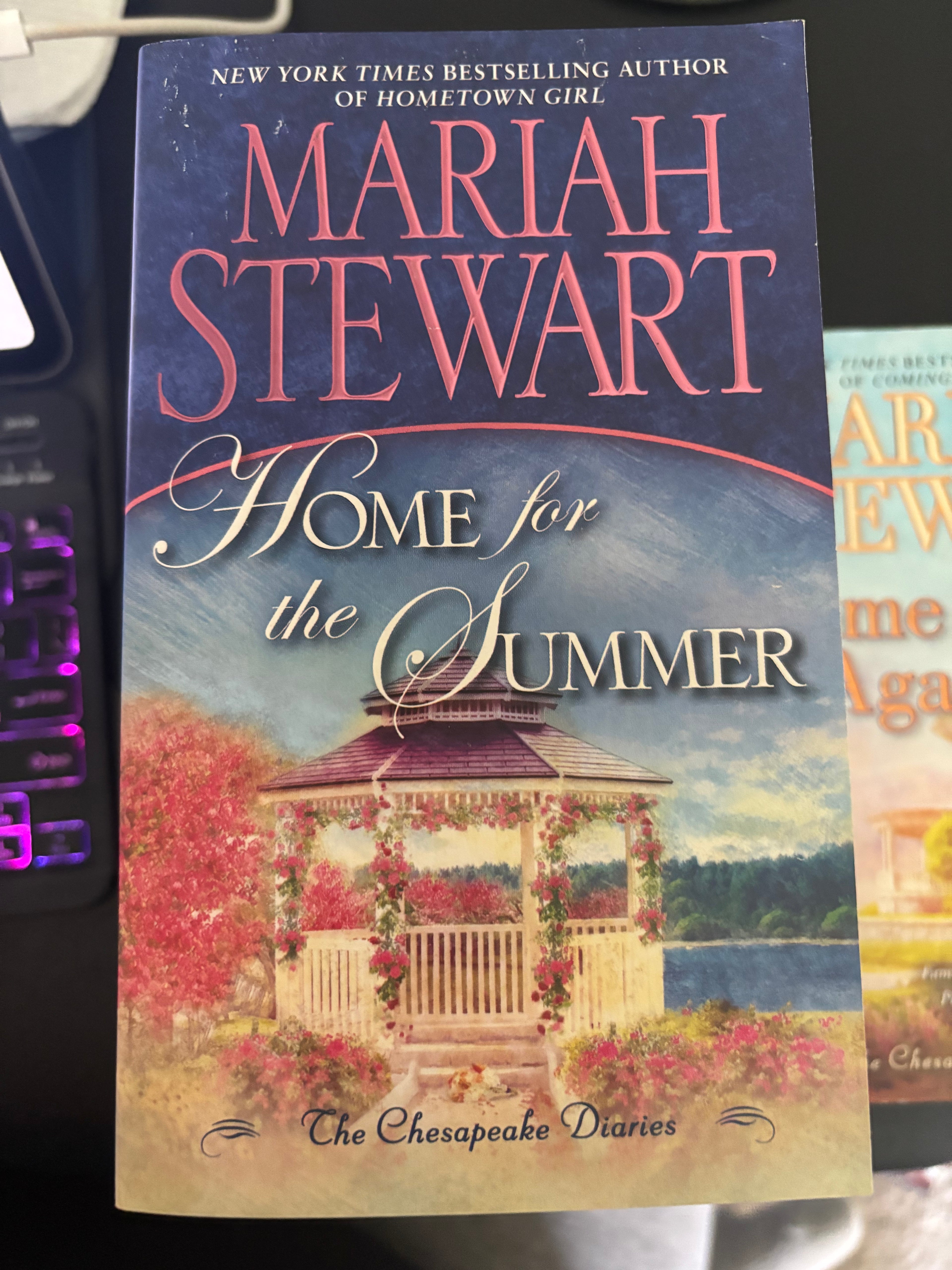 Home for the Summer (Book 5 of the Chesapeake Diaries series) by Mariah Stewart mass market (rescued)