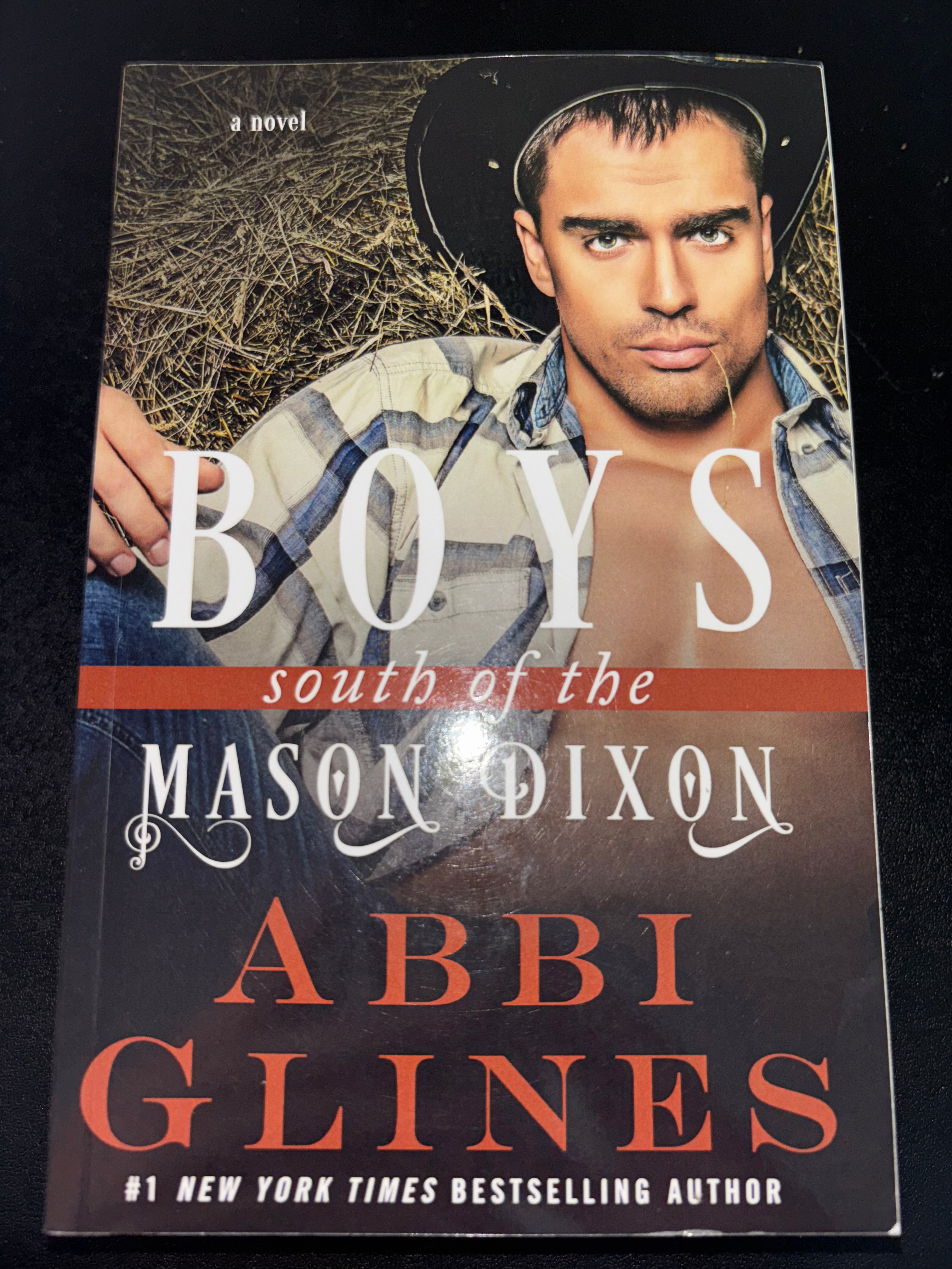 Boys South of the Mason Dixon (Book 1 of the South of the Mason Dixon series) by Abbi Glines YA paperback (rescued)