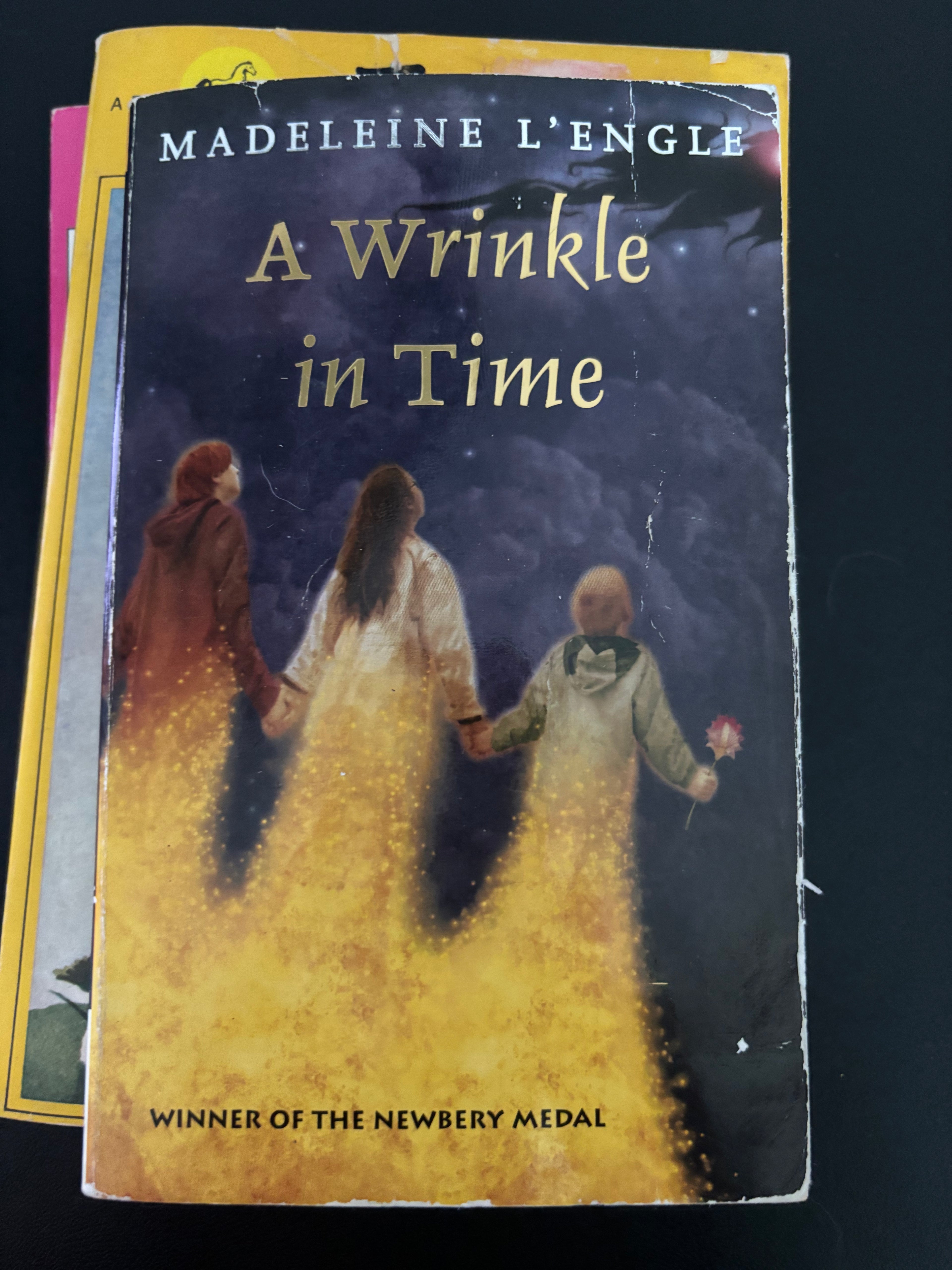 A Wrinkle in Time (Book 1 of the Time Quintet series) by Madeleine L’Engle Tween/Middle School paperback (rescued) (5 options available)